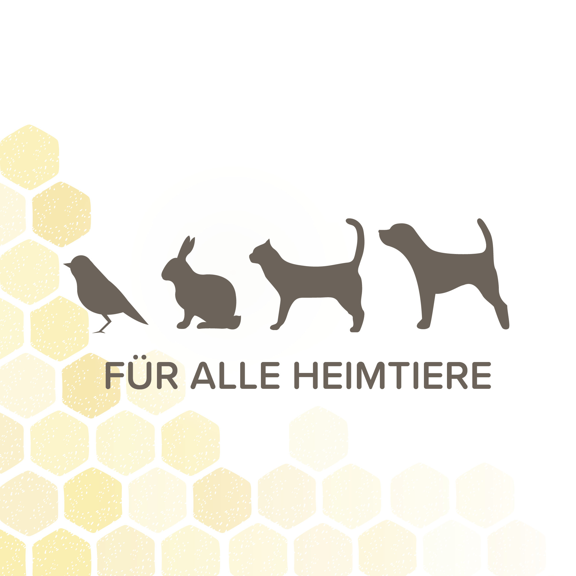 Beaphar Derma Care Spray, 75ml