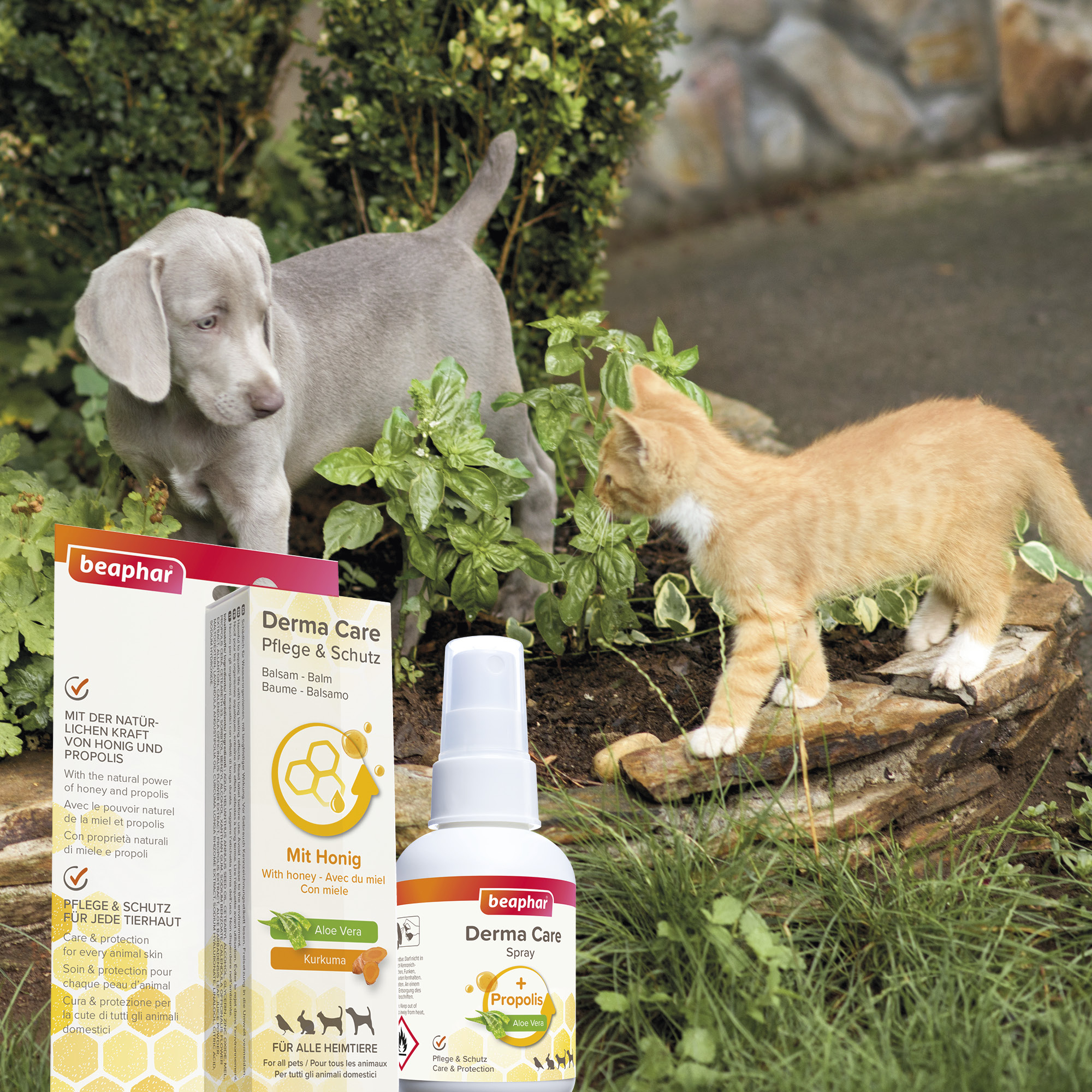 Beaphar Derma Care Spray, 75ml