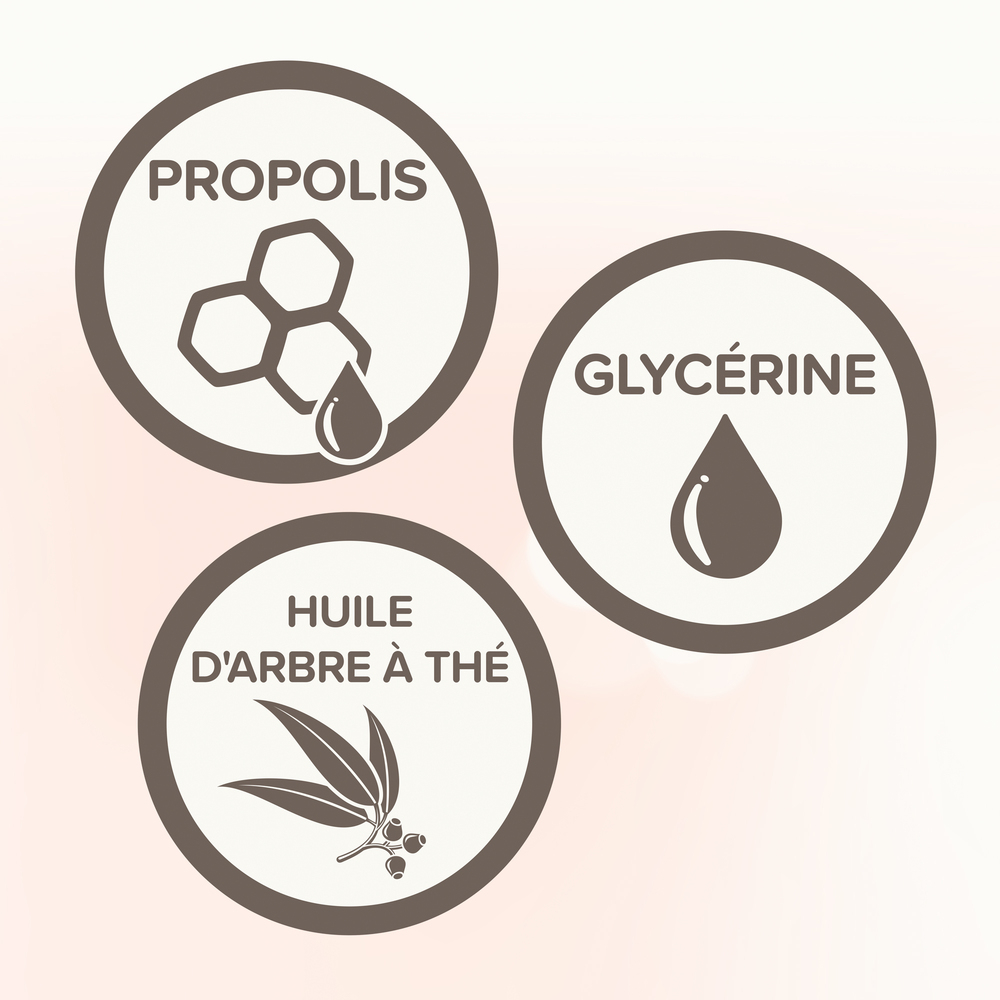 Pulvérisateur coussinets