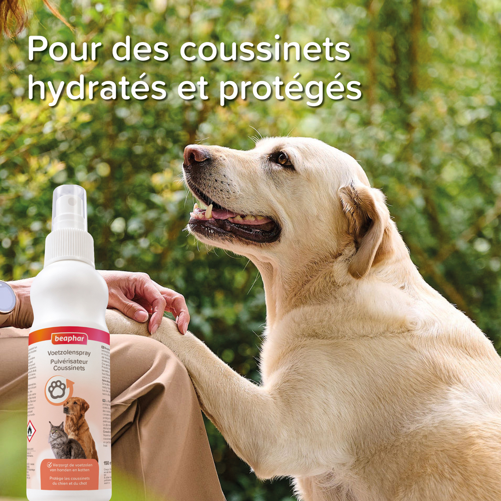 Pulvérisateur coussinets