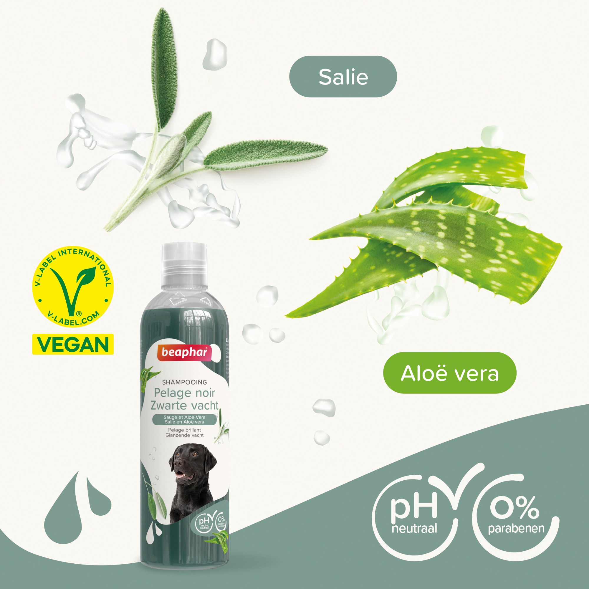 Beaphar Shampoo Zwarte vacht hond 250ml