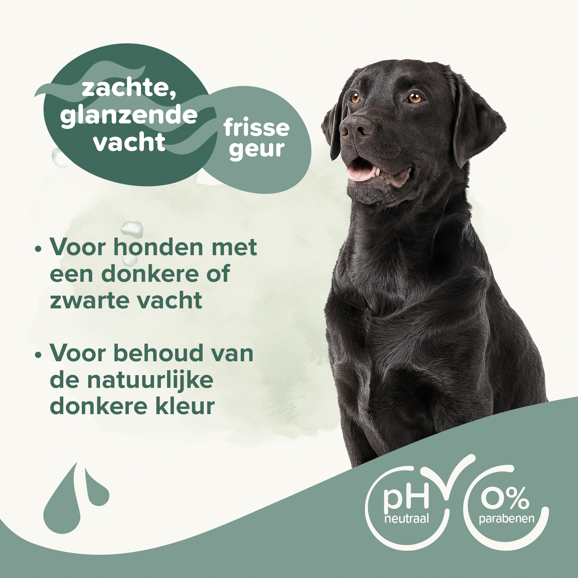 Beaphar Shampoo Zwarte vacht hond 250ml