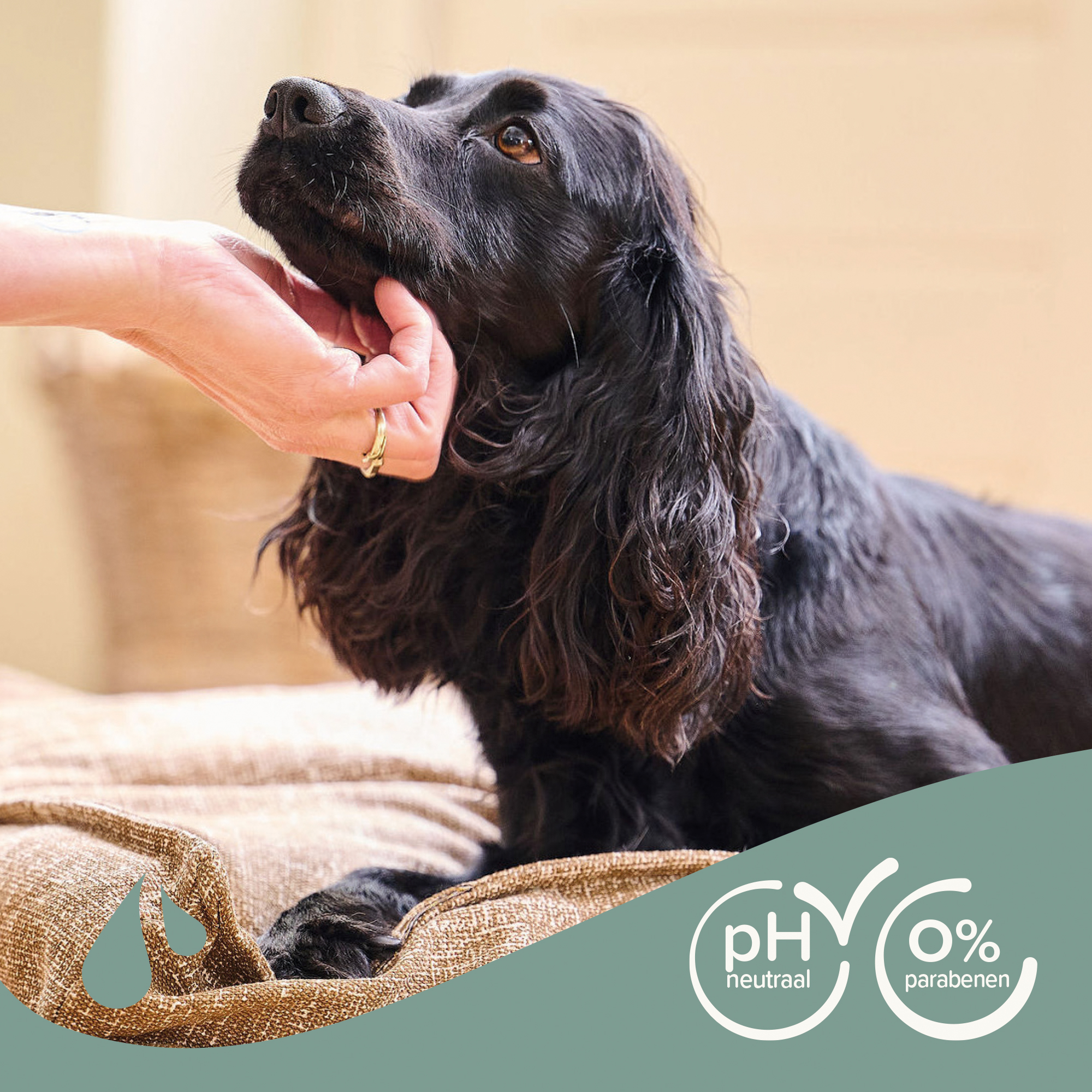 Beaphar Shampoo Zwarte vacht hond 250ml