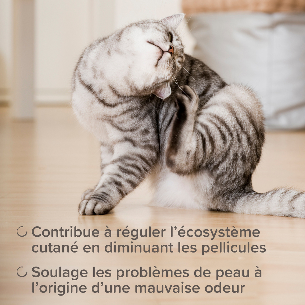 DermaCare, Spray apaisant sans rinçage pour chien et chat