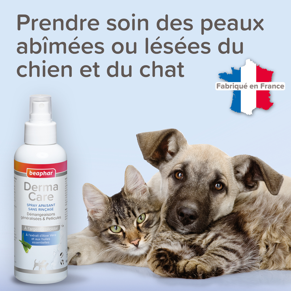 DermaCare, Spray apaisant sans rinçage pour chien et chat