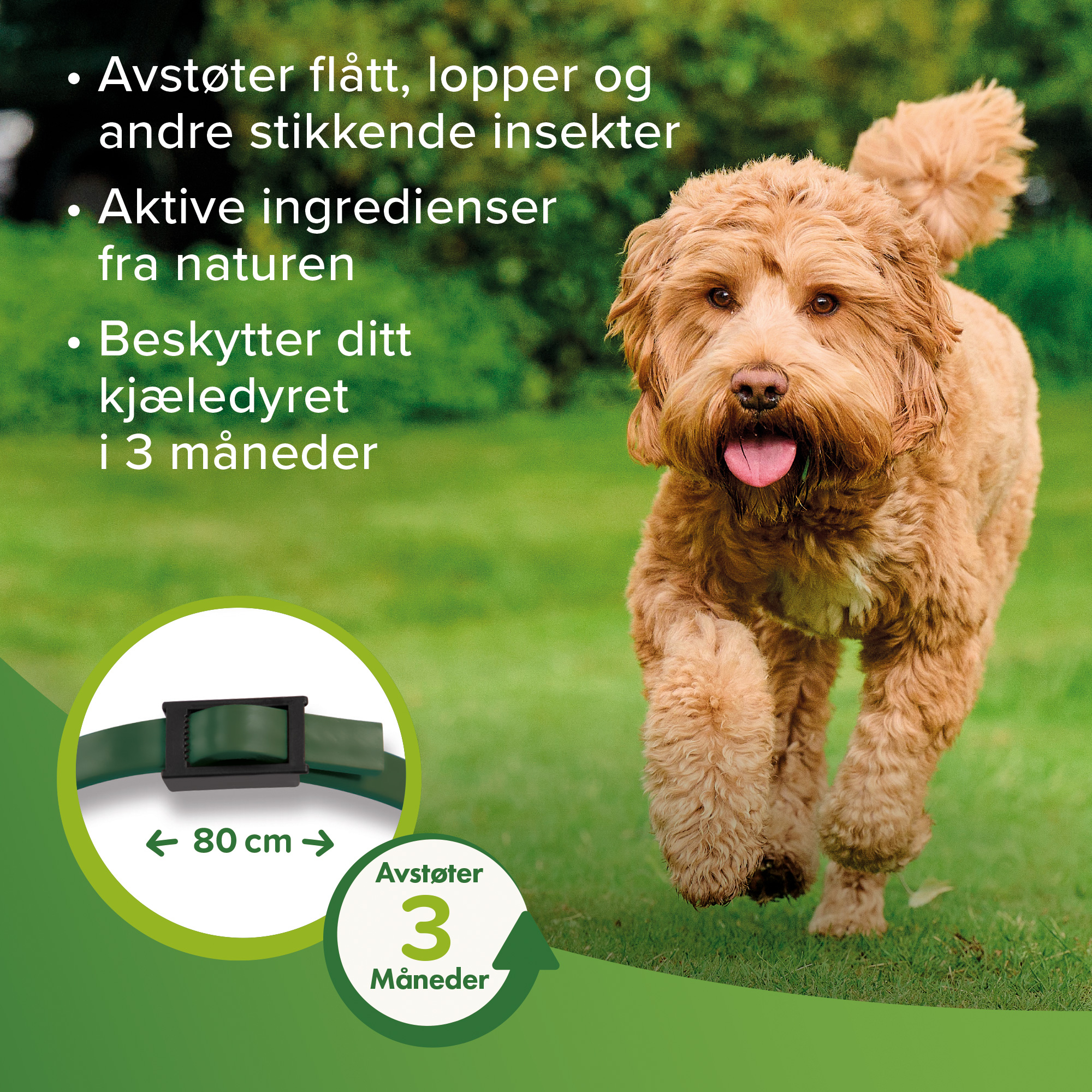 Beaphar Bio halsbånd hund 65cm