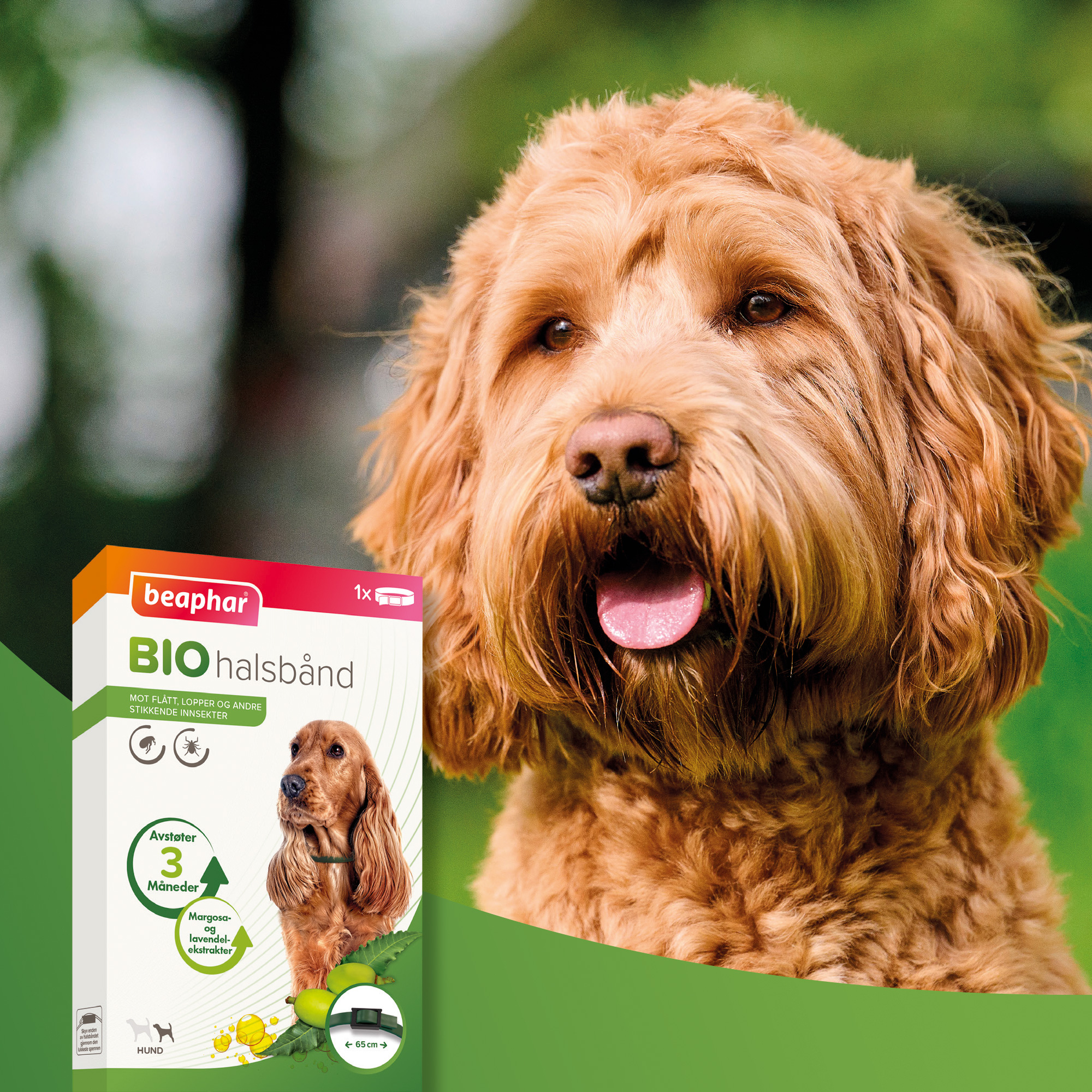 Beaphar Bio halsbånd hund 65cm