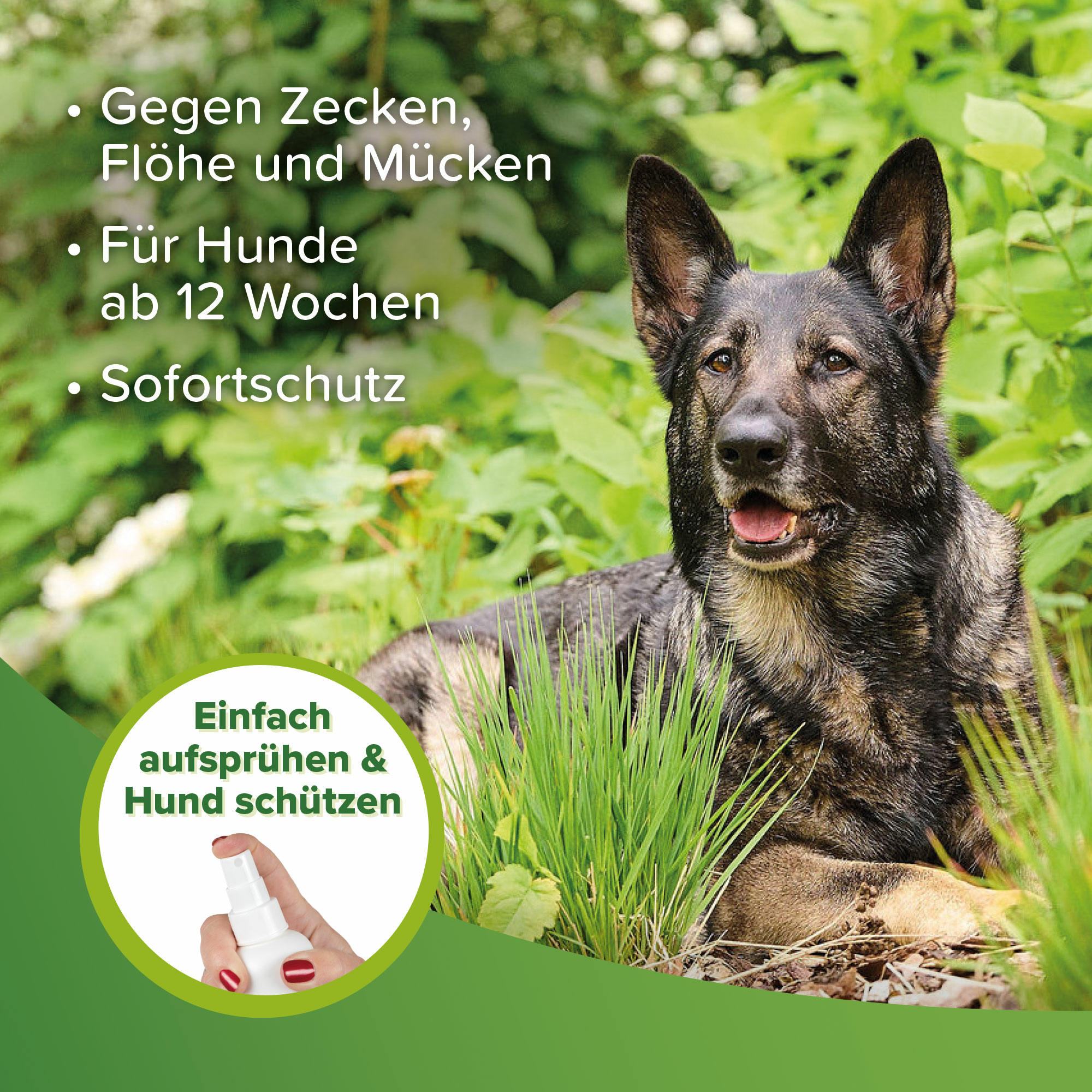 Beaphar Zecken- und Flohschutz Spray, 150ml