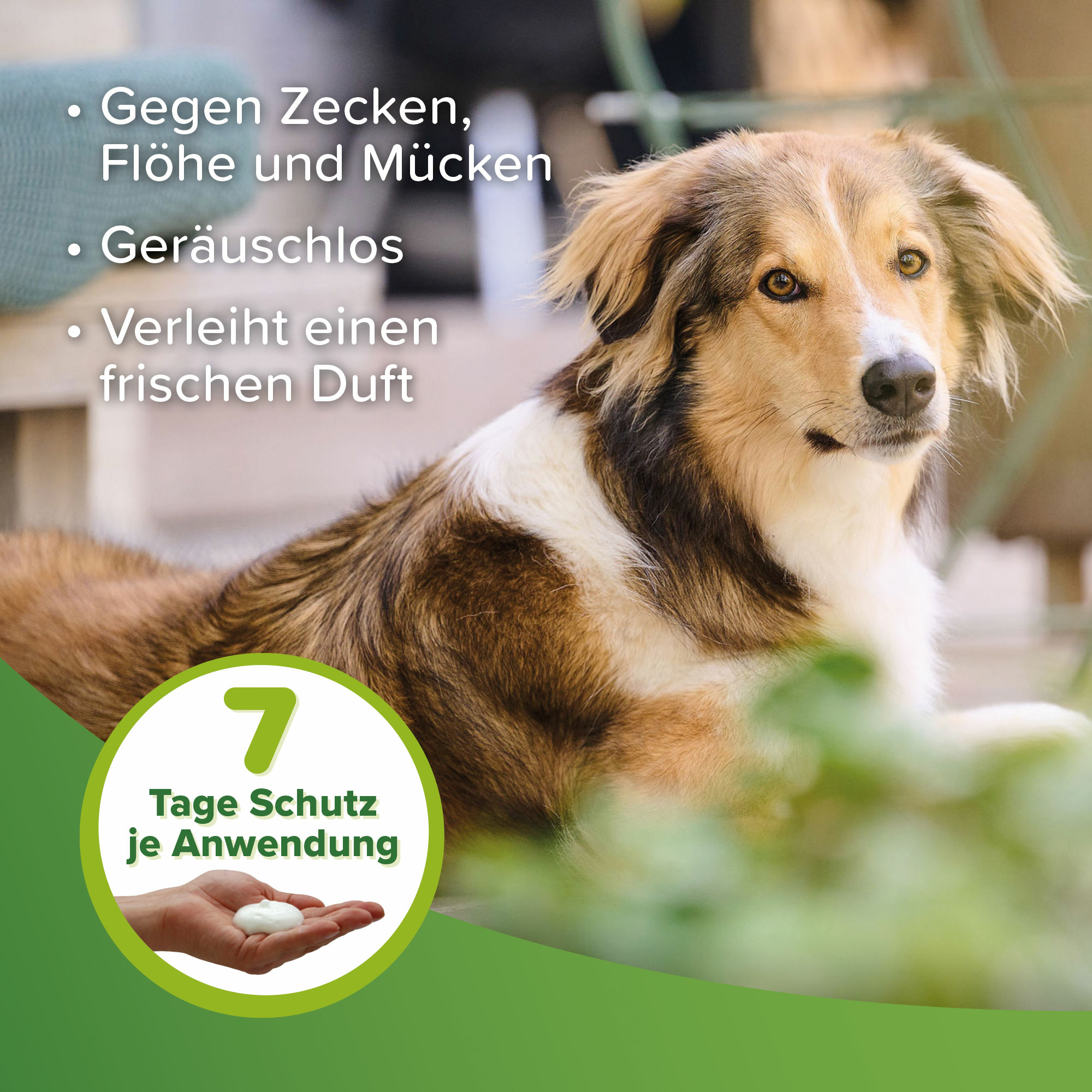 Beaphar Zecken- und Flohschutz Schaum, 150ml