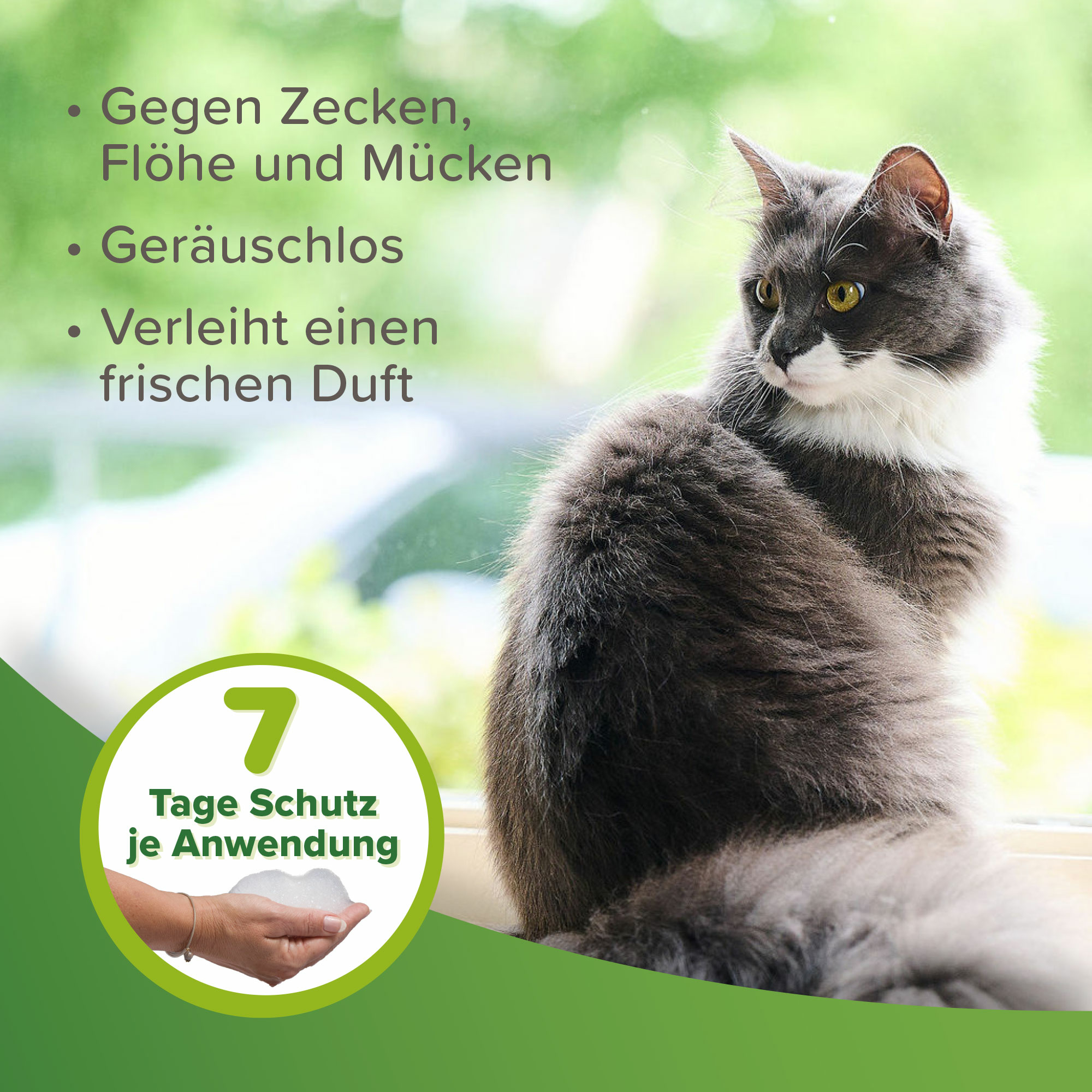 Beaphar Zecken- und Flohschutz Shampoo, 250ml