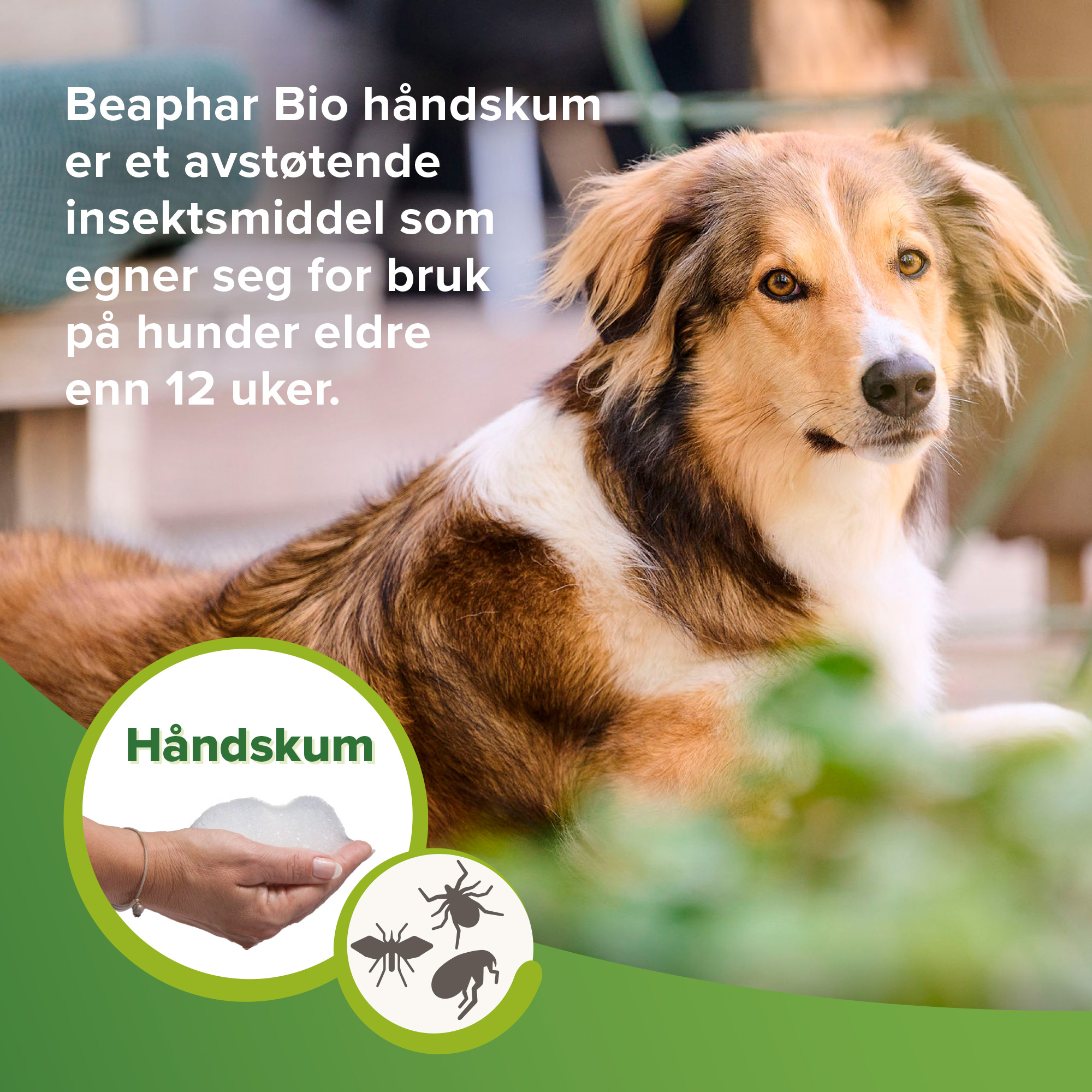 Beaphar Bio håndskum
