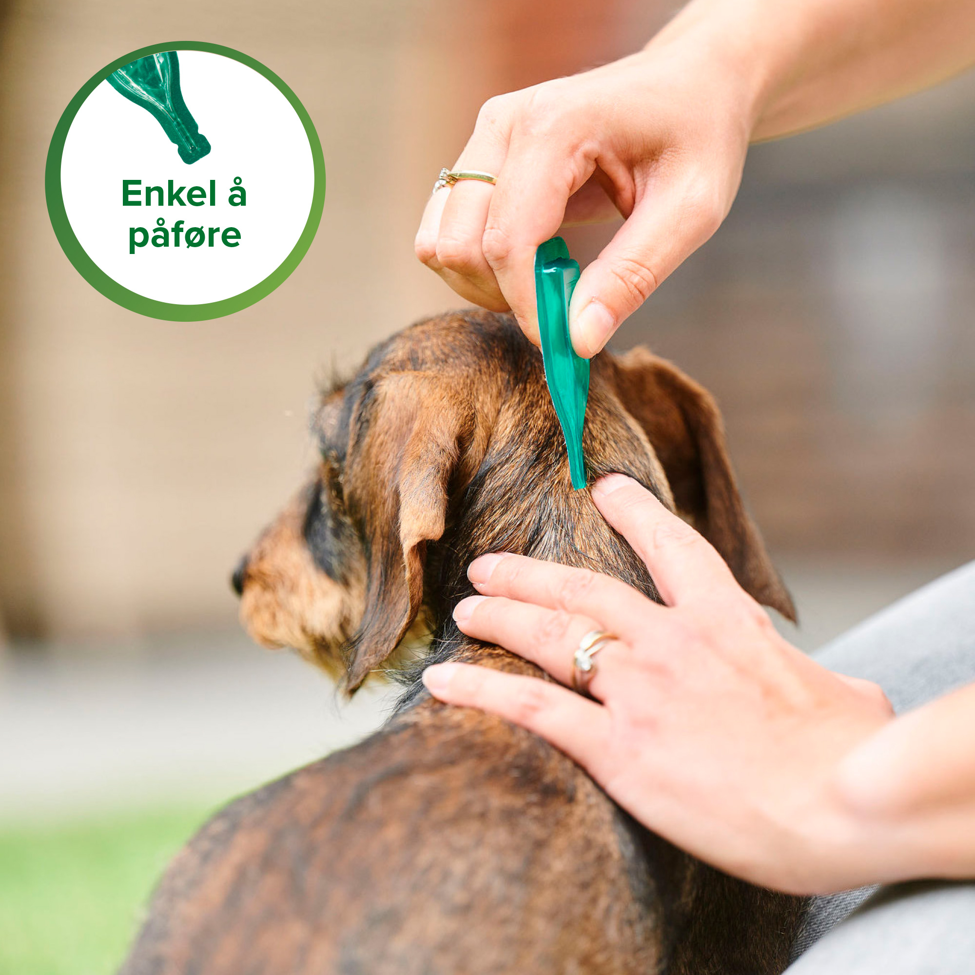 Beaphar Bio Spot-On S Hund