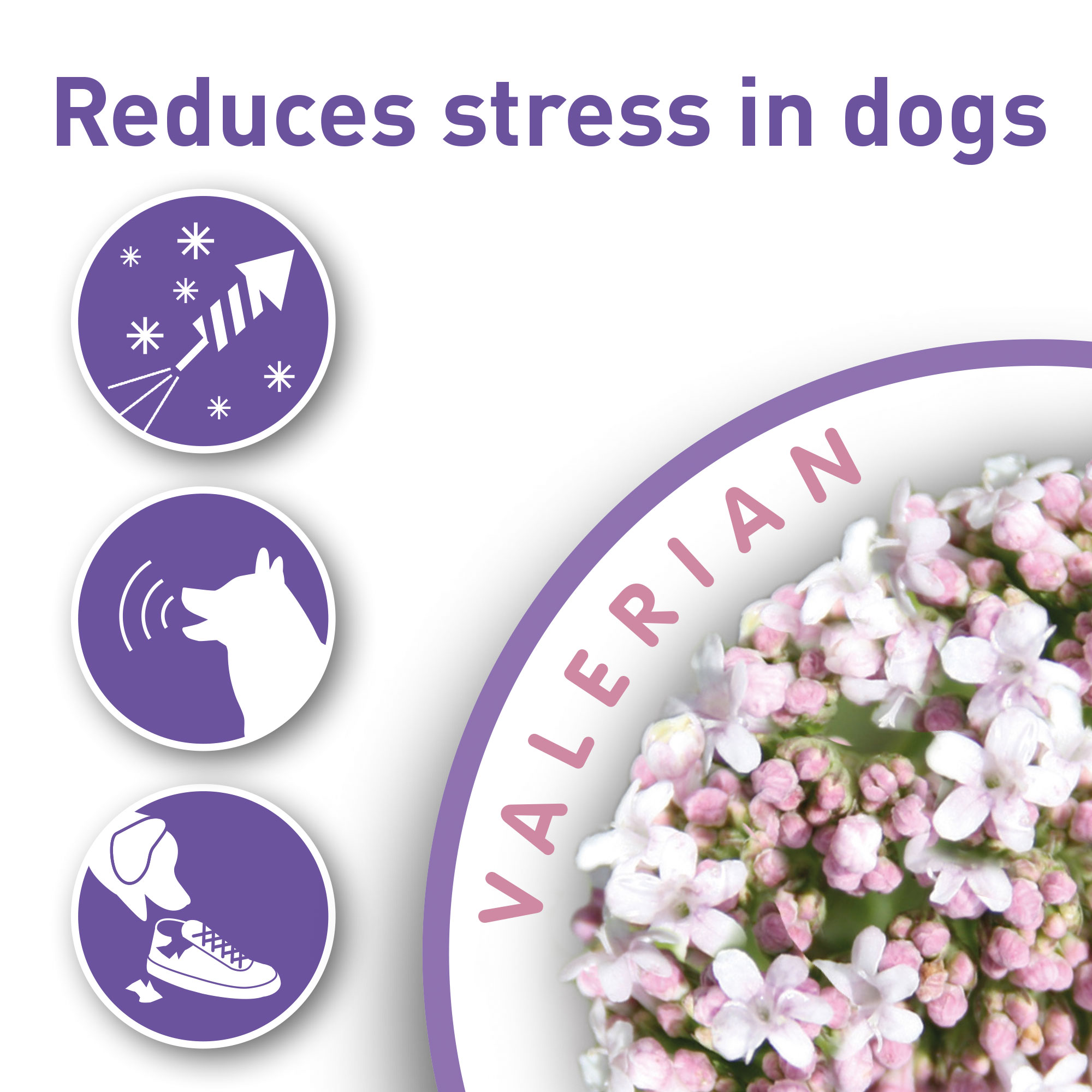 Nyugtató hatású spot-on kutyáknak