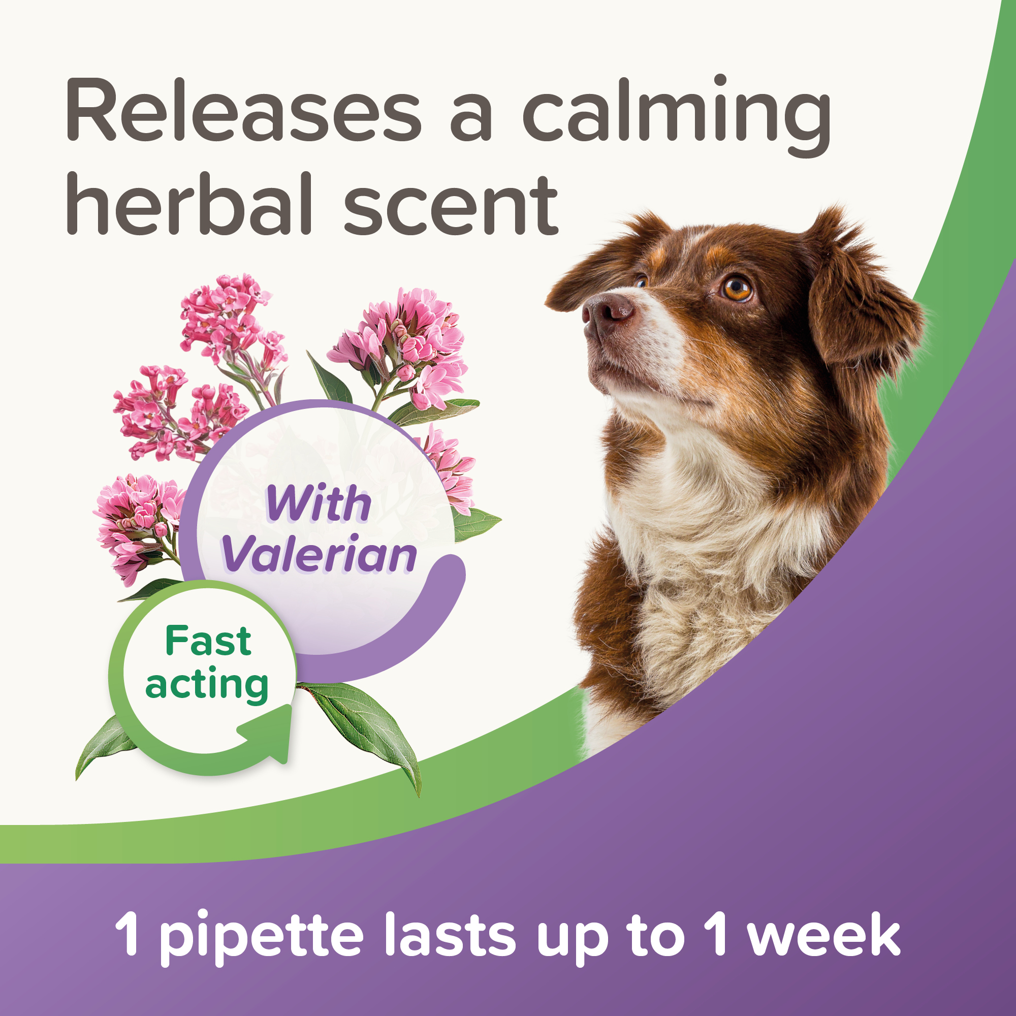 Beaphar StressLess Herbal Calming Spot-On for Dogs, 3 pipettes