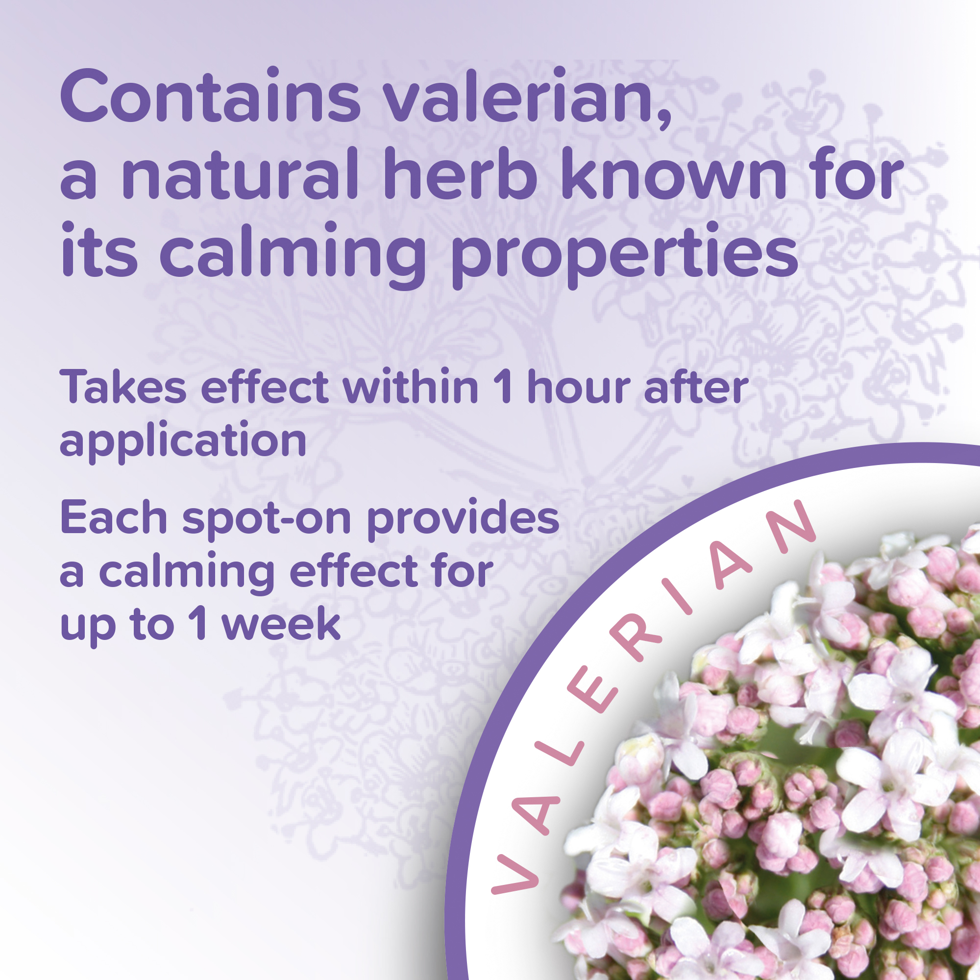 Beaphar Herbal Calming SpotOn for Cats 3 Pipettes Beaphar