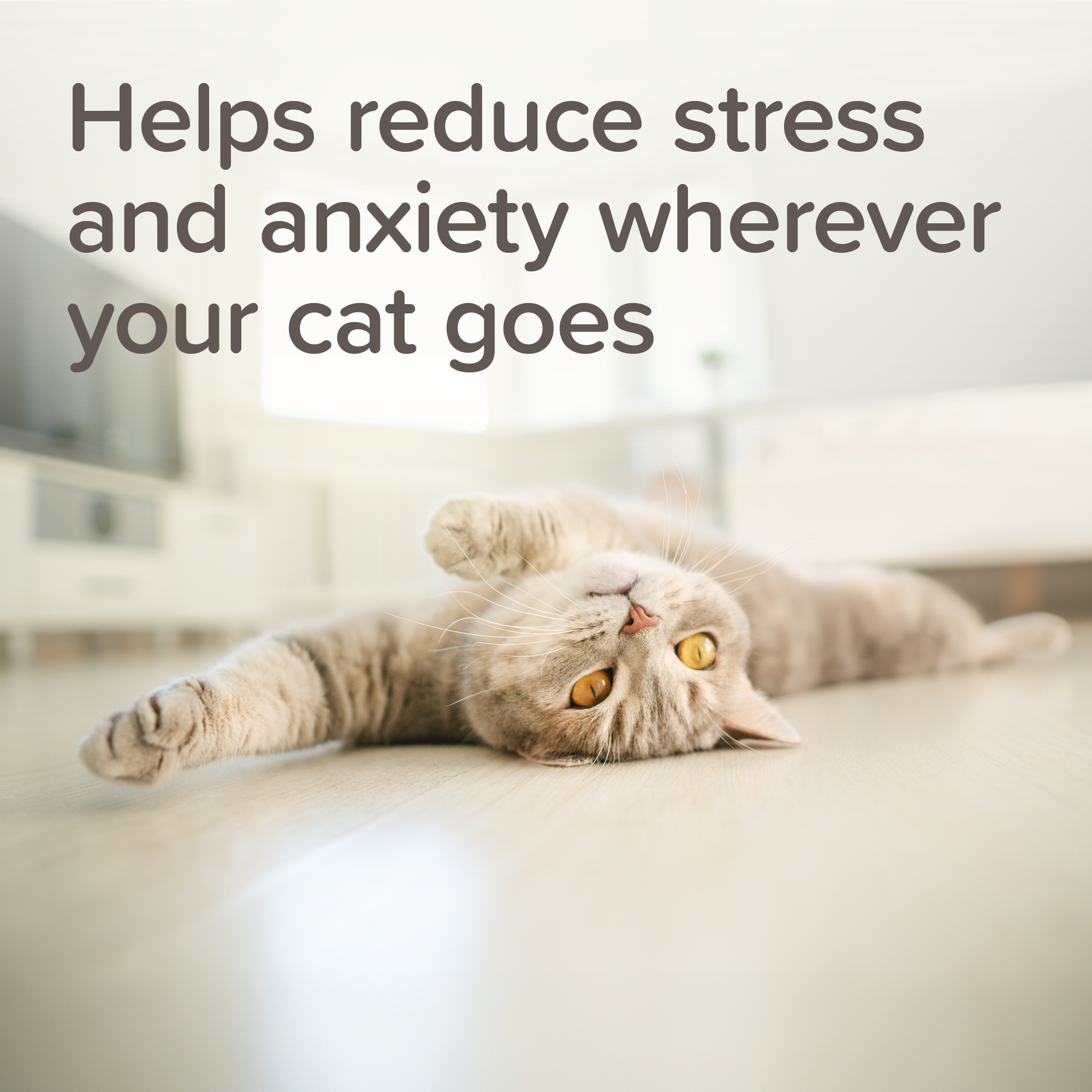 Beaphar StressLess Herbal Calming Spot-On for Cats, 3 pipettes