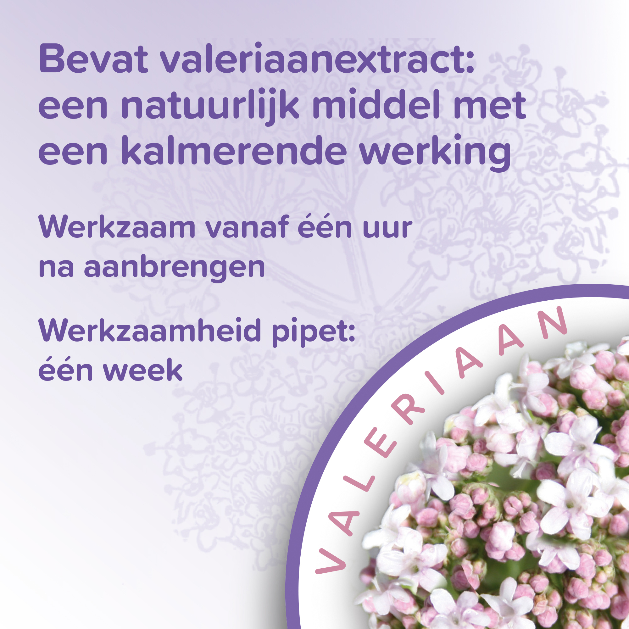 Beaphar No Stress Spot-On hond 3 pipetten