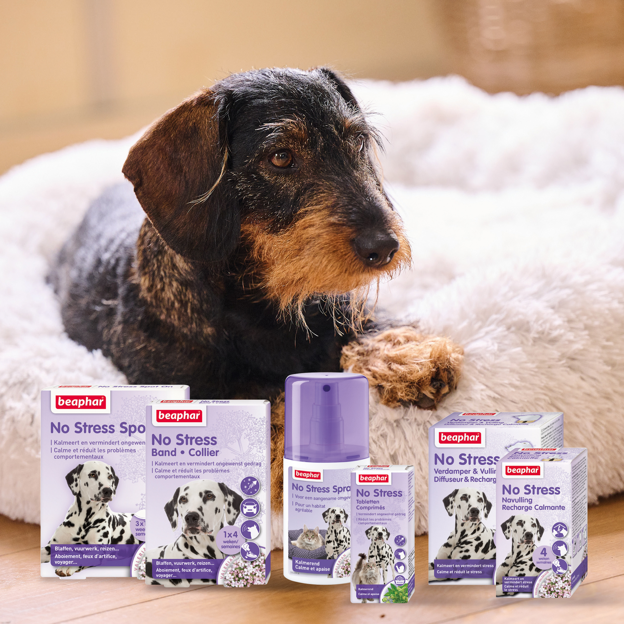 Beaphar No Stress Spot-On hond 3 pipetten