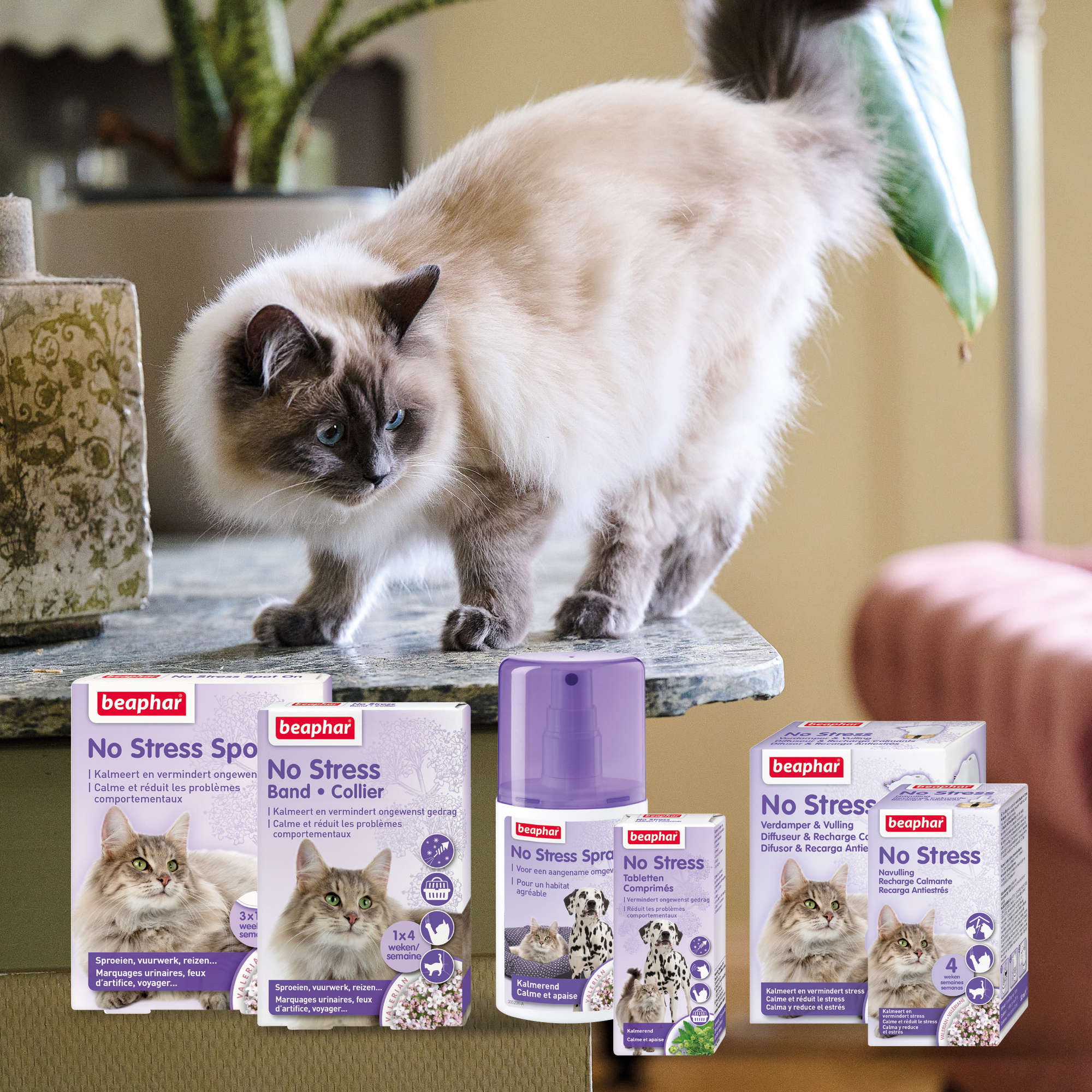 Beaphar No Stress Spot On kat 3 pipetten