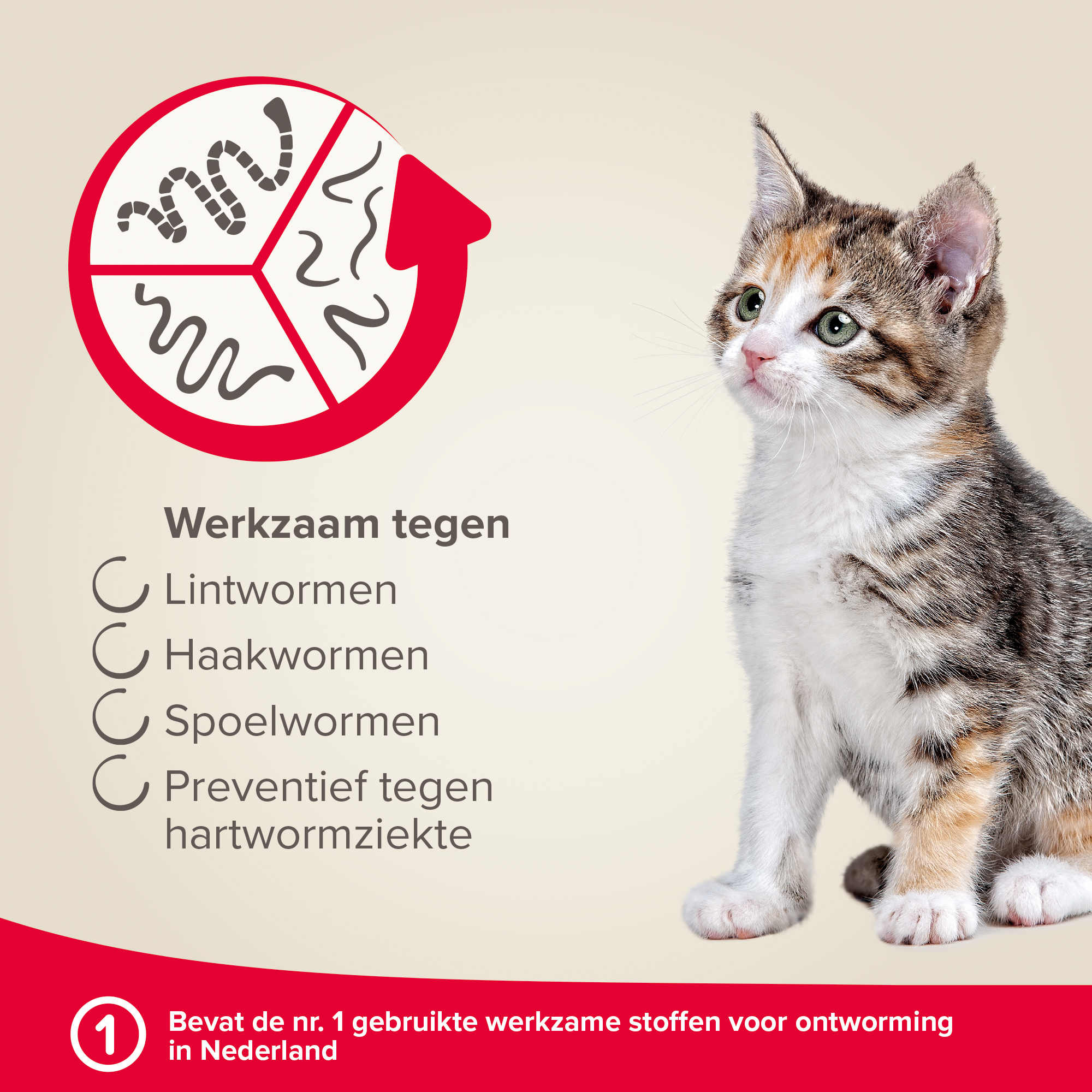 Beaphar Milquestra ontwormingsmiddel kleine kat/kitten 2 tabletten