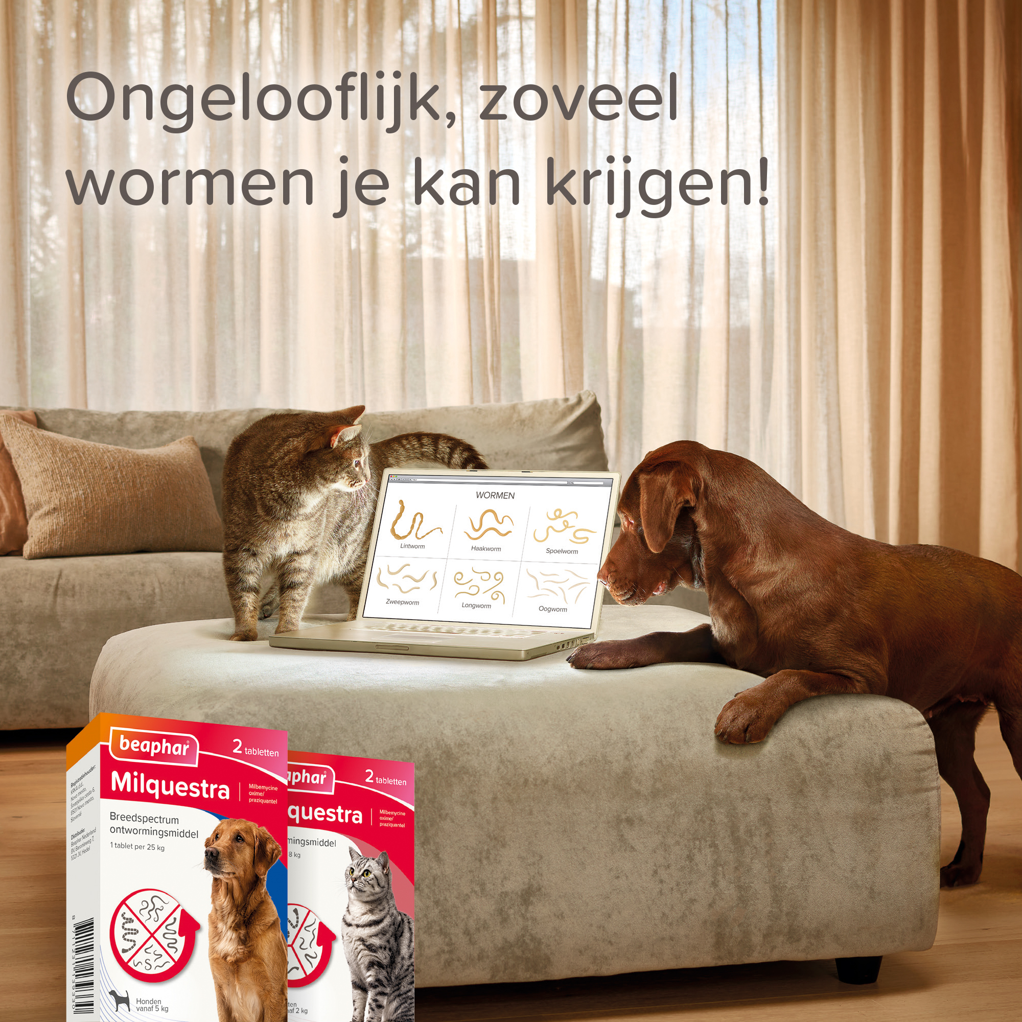 Beaphar Milquestra ontwormingsmiddel kat 2 tabletten