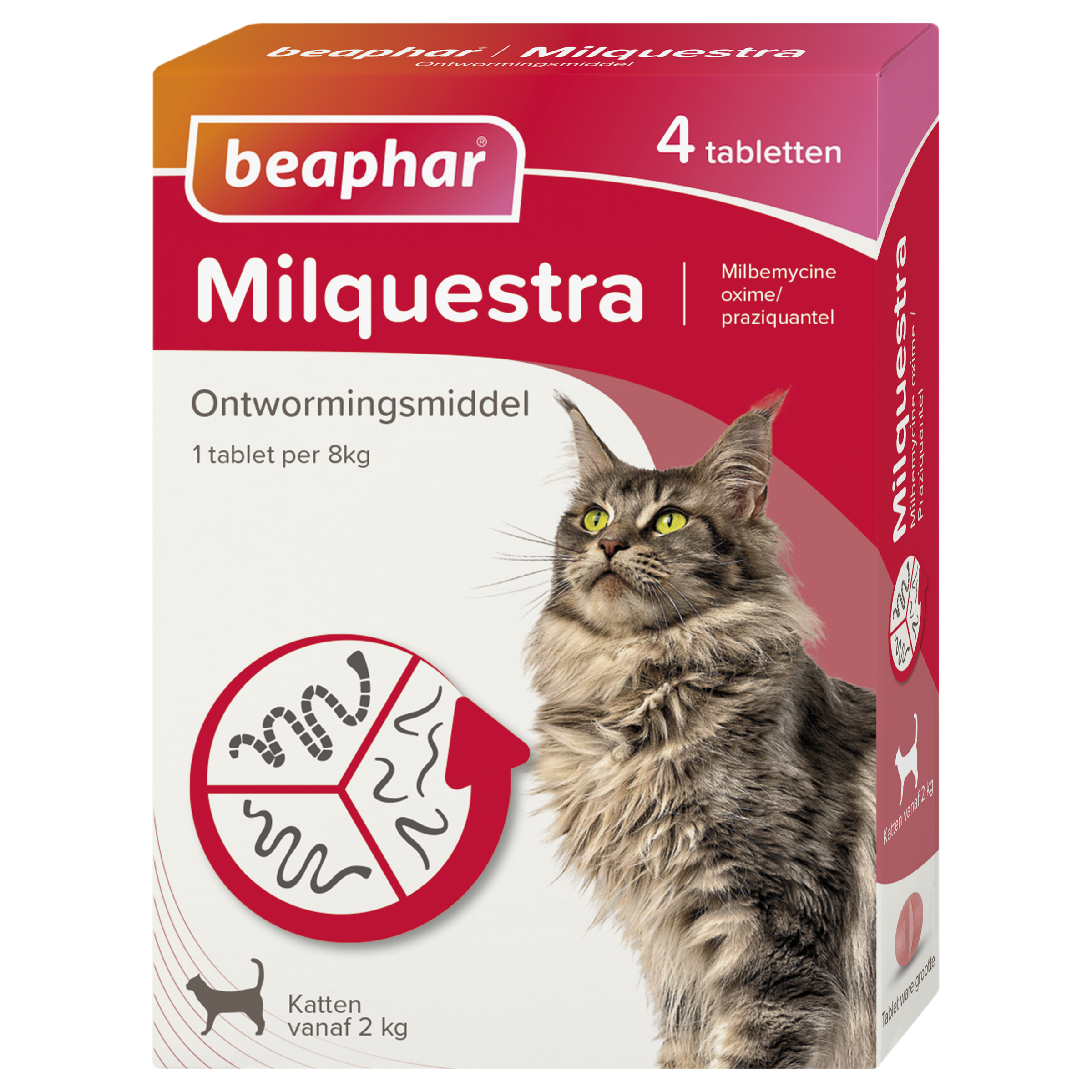 Beaphar Milquestra ontwormingsmiddel kat 4 tabletten
