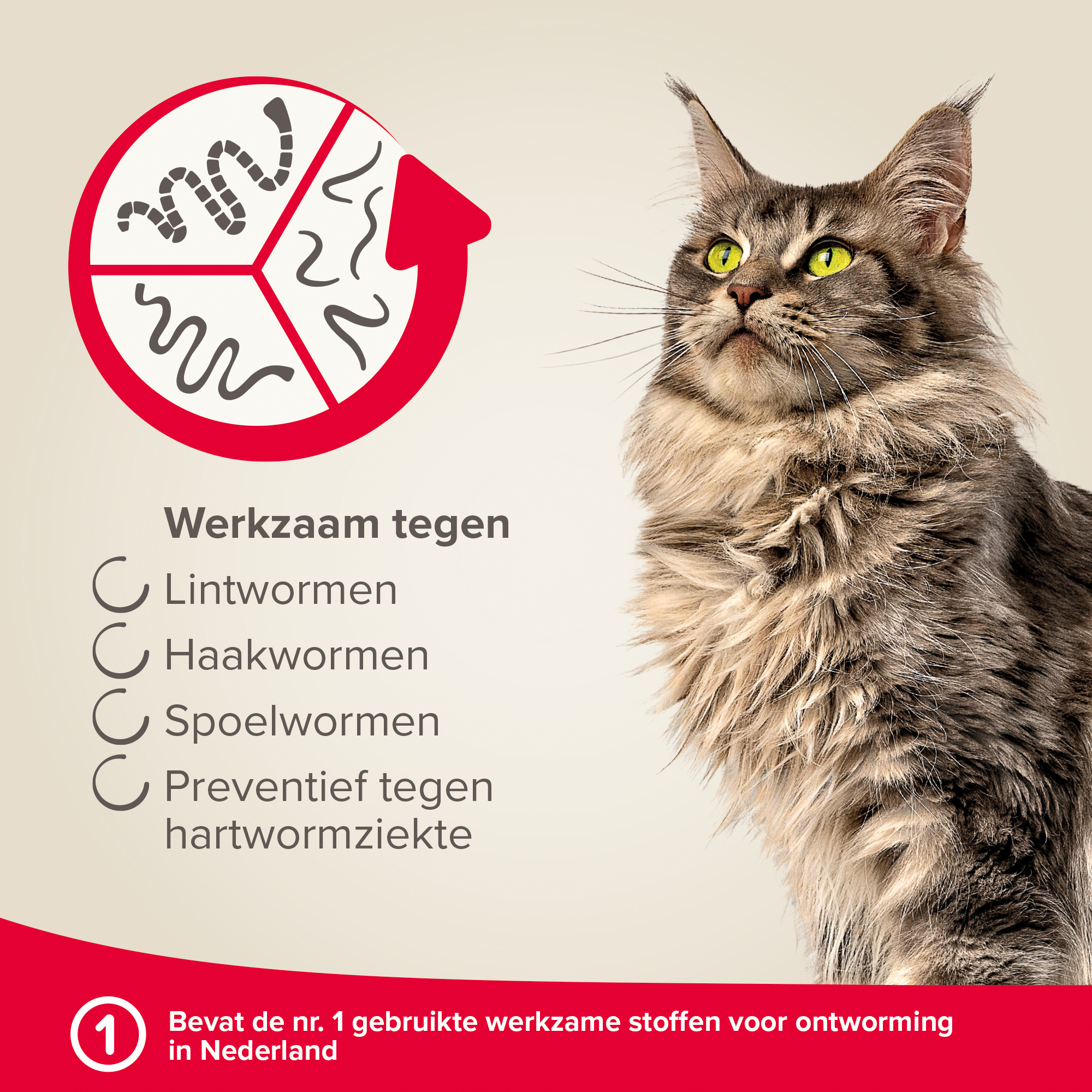 Beaphar Milquestra ontwormingsmiddel kat 4 tabletten