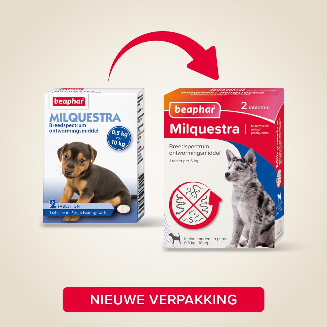 Beaphar Milquestra ontwormingsmiddel kleine hond / pup 2 tabletten
