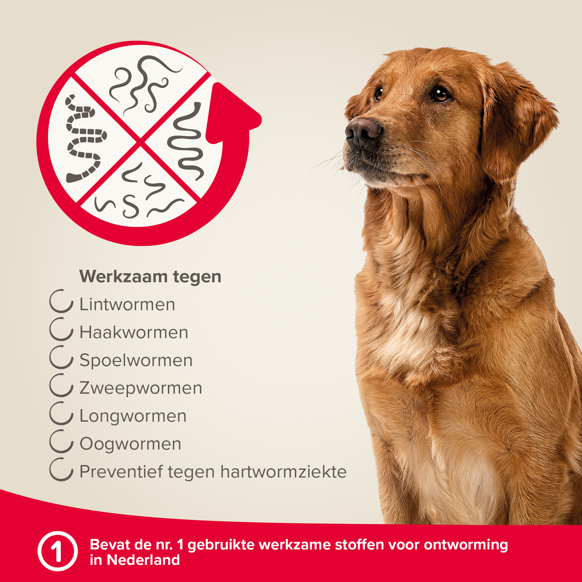 Beaphar Milquestra ontwormingsmiddel hond 2 tabletten