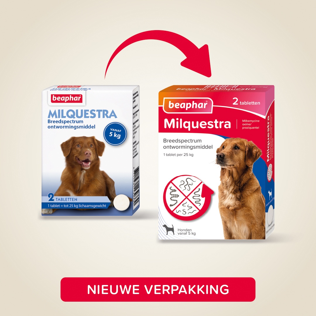 Beaphar Milquestra ontwormingsmiddel hond 2 tabletten