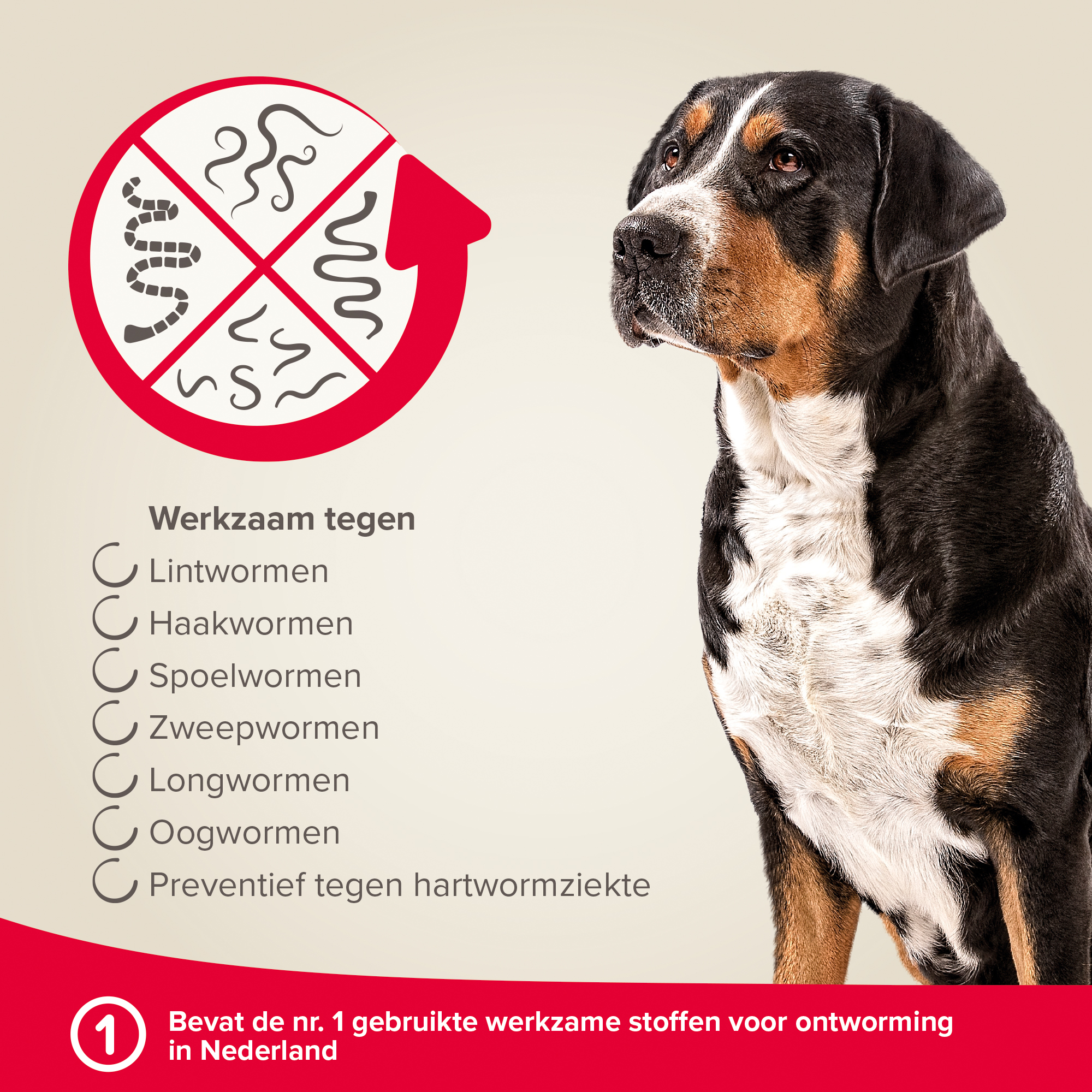 Beaphar Milquestra ontwormingsmiddel hond 4 tabletten