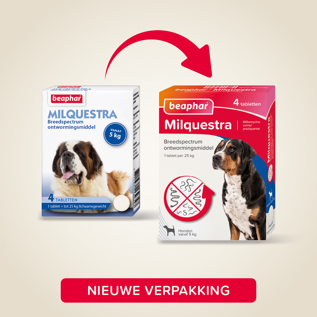 Beaphar Milquestra ontwormingsmiddel hond 4 tabletten