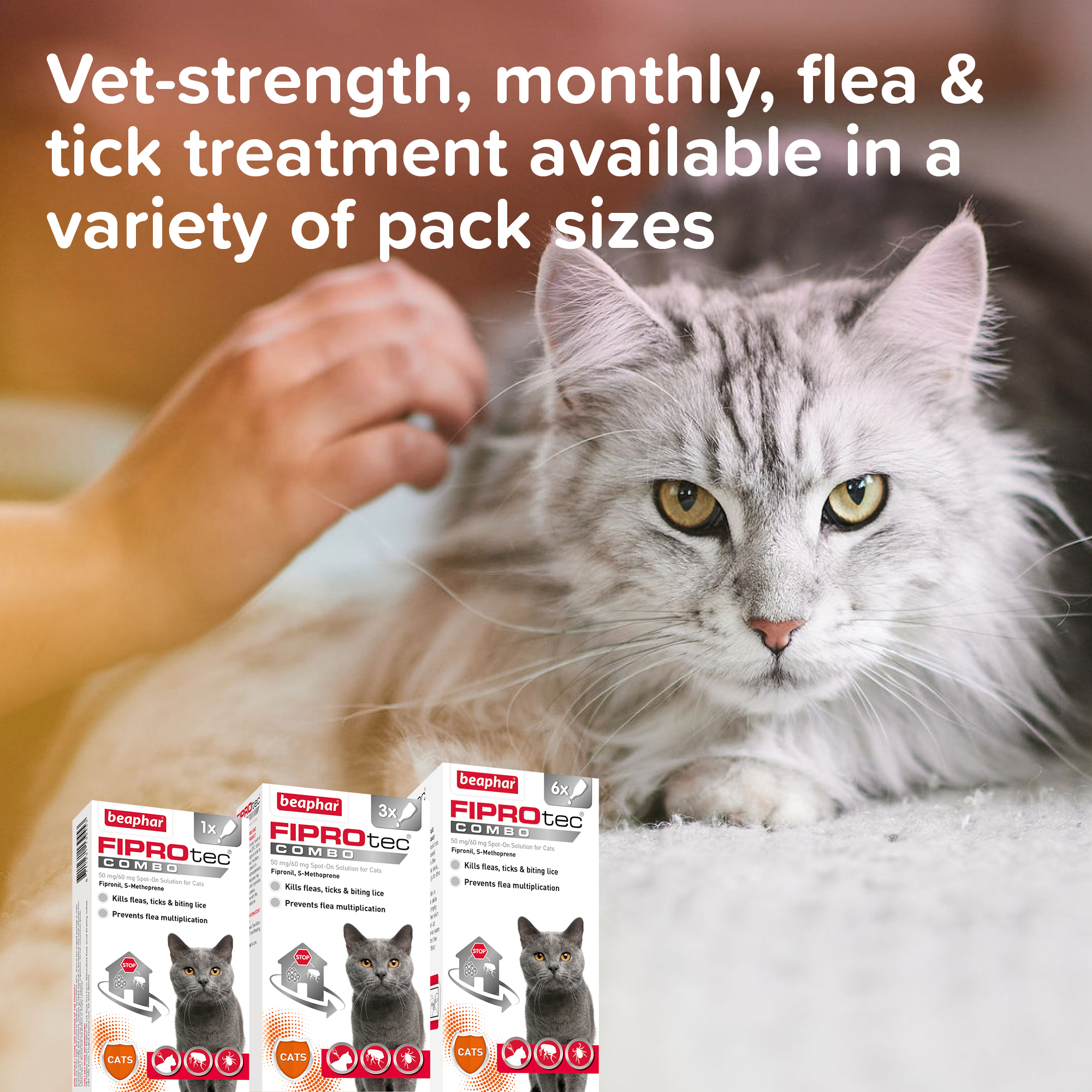 Beaphar FIPROtec® COMBO Flea & Tick Spot-On for Cats, 3 Pipettes