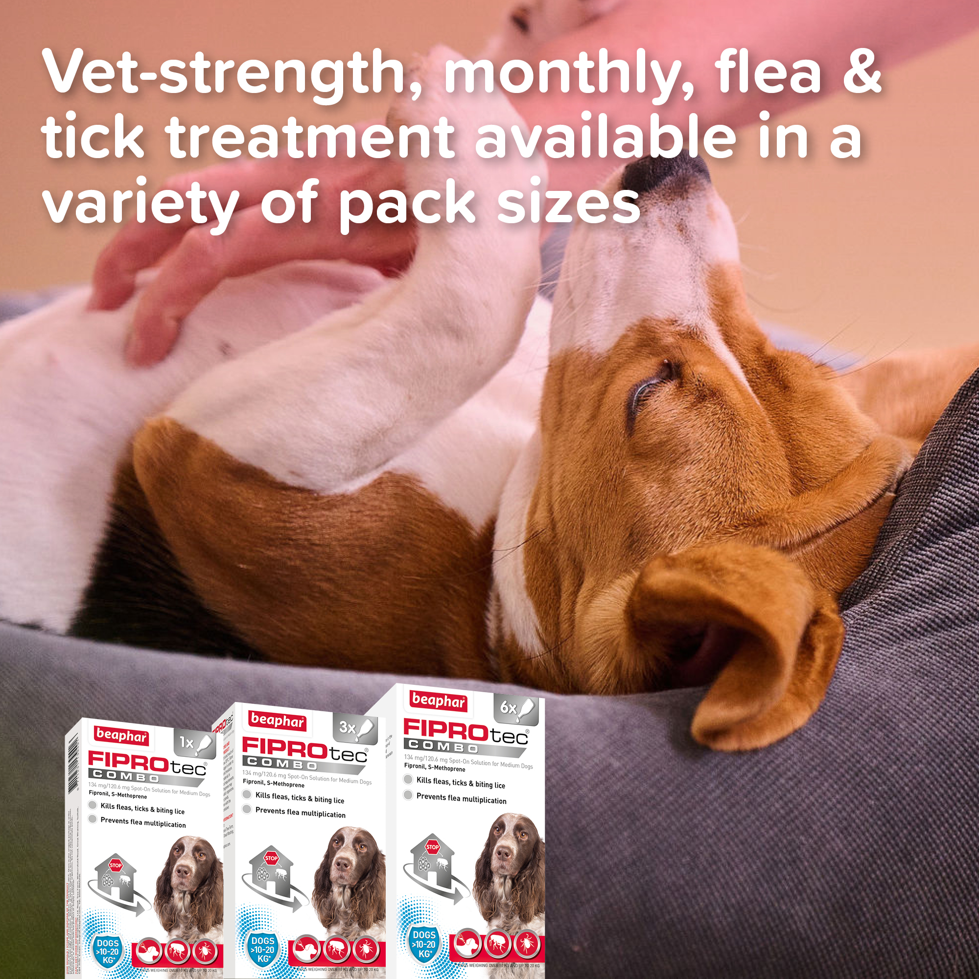 Beaphar FIPROtec® COMBO Flea & Tick Spot-On for Medium Dogs | 10-20kg | 3 Pipettes