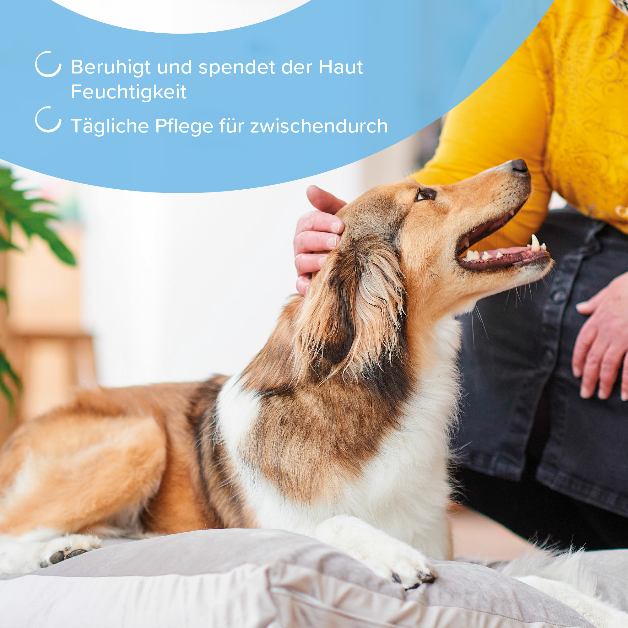 Hautpflege-Spray, 250ml