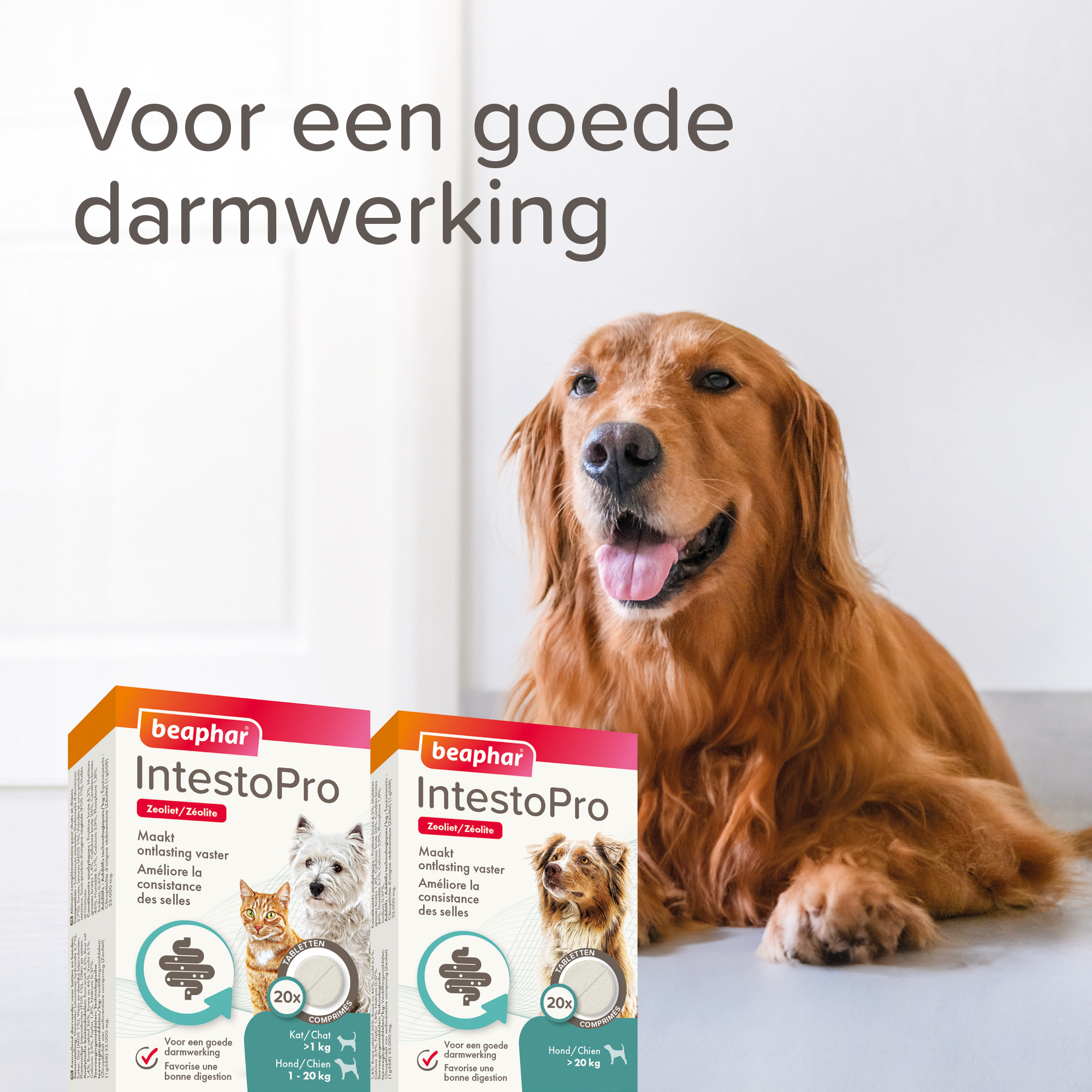 Beaphar IntestoPro tabletten kat/hond tot 20kg