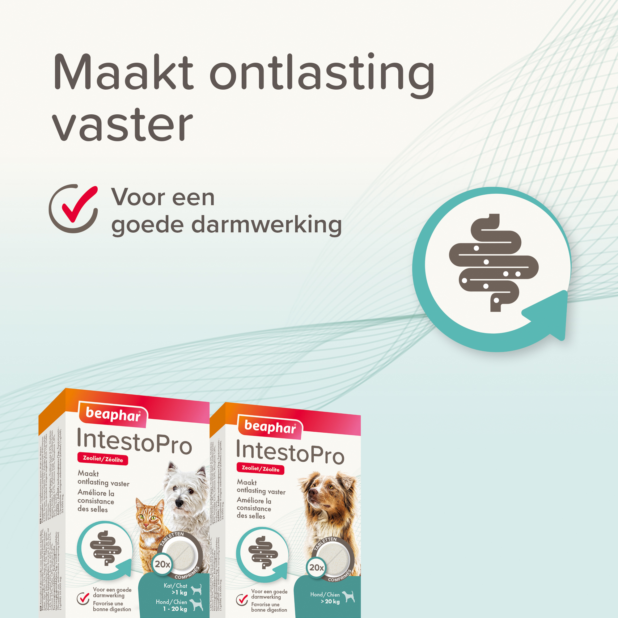 Beaphar IntestoPro tabletten kat/hond tot 20kg