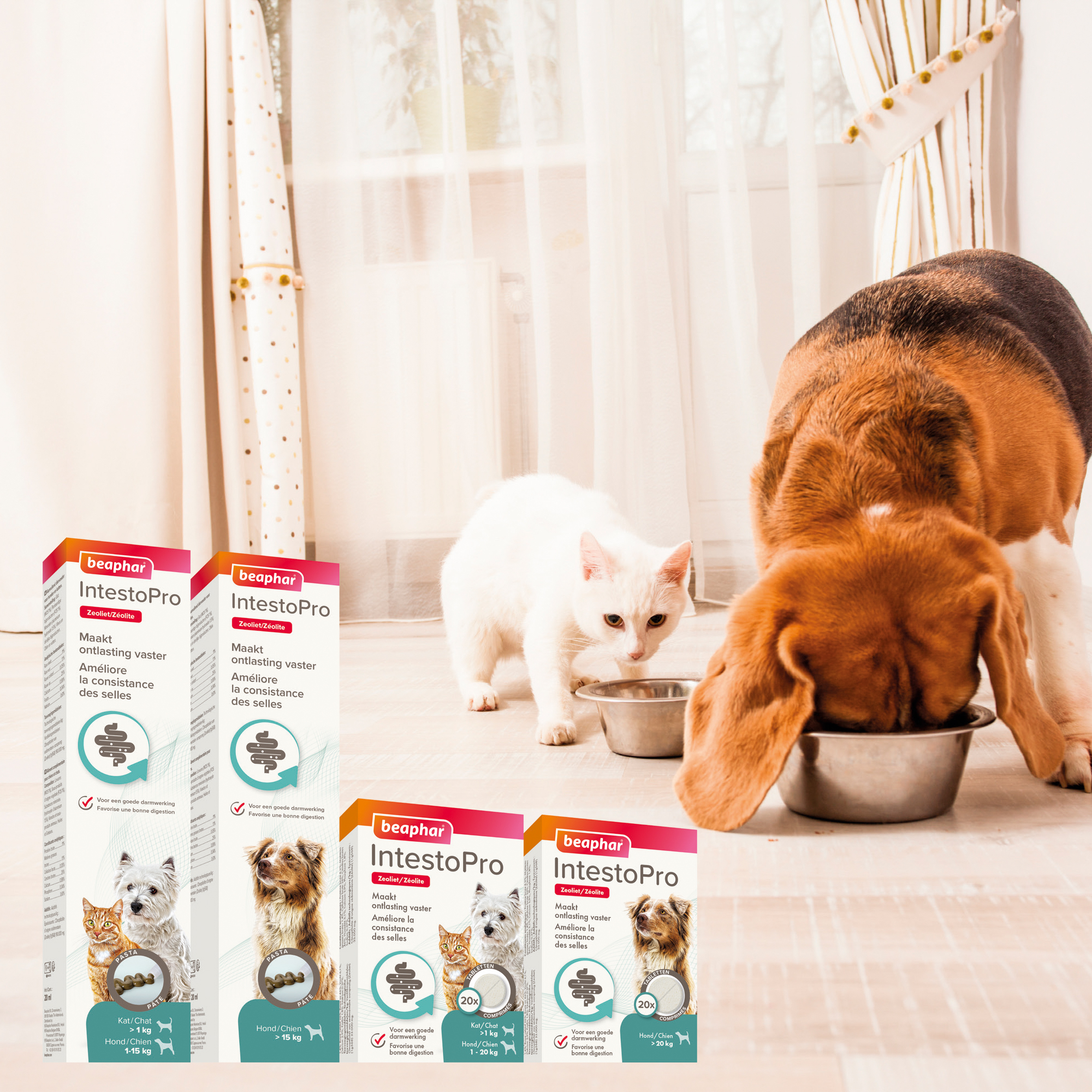 Beaphar IntestoPro tabletten kat/hond tot 20kg