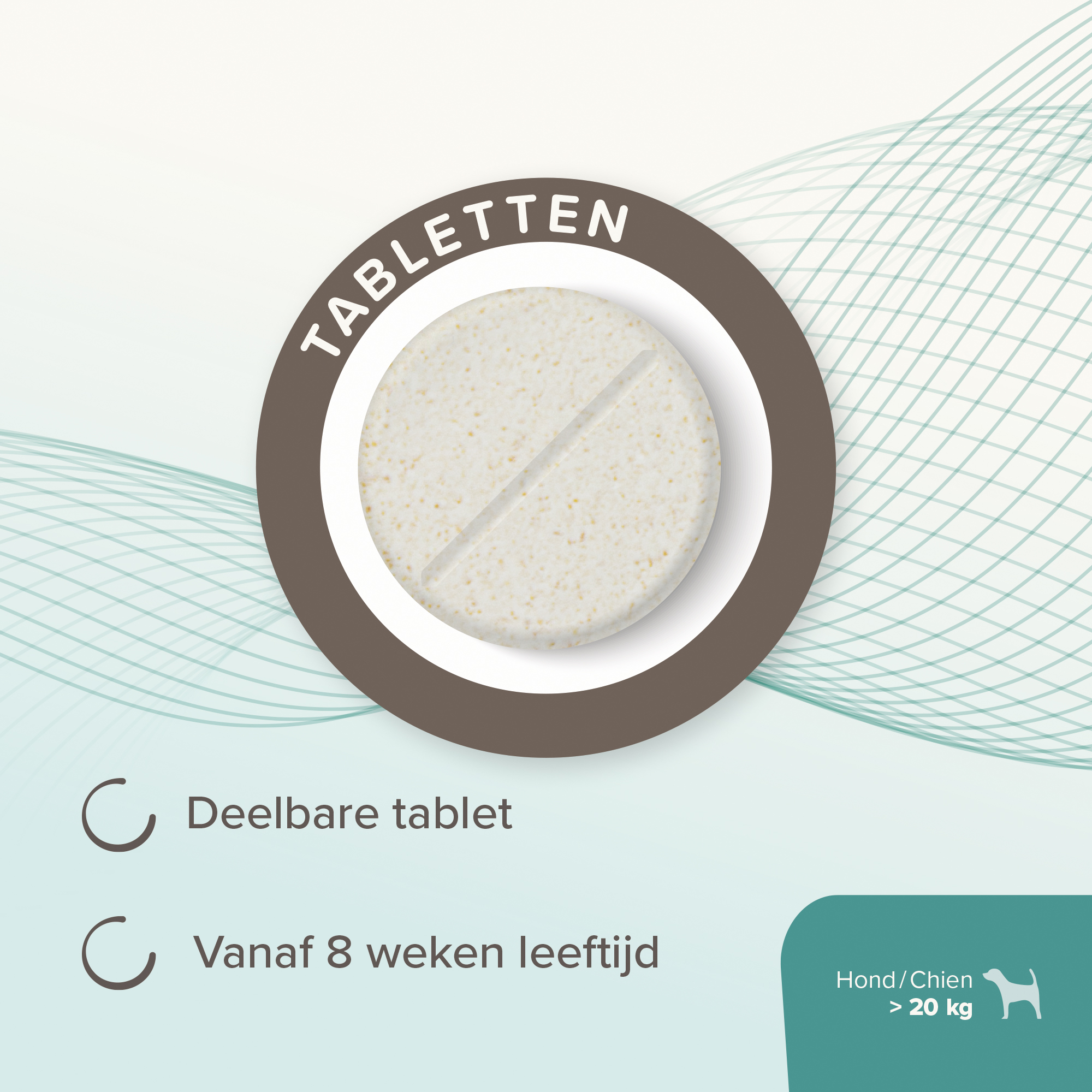 Beaphar IntestoPro tabletten hond vanaf 20kg