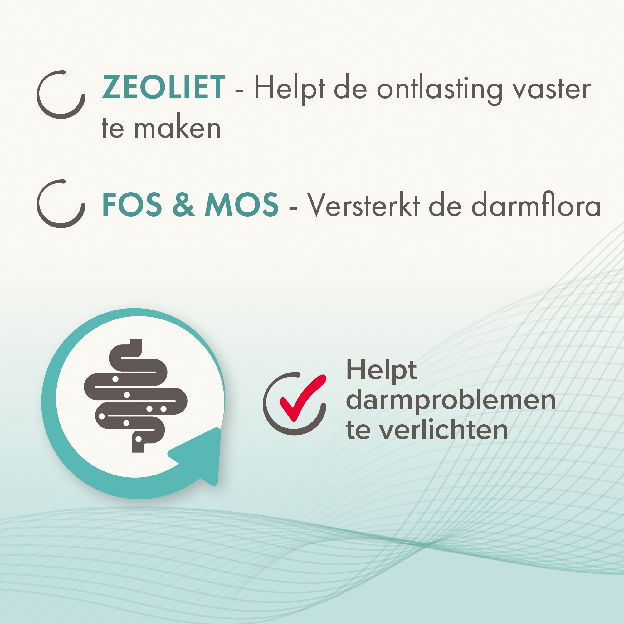 Beaphar IntestoPro tabletten hond vanaf 20kg