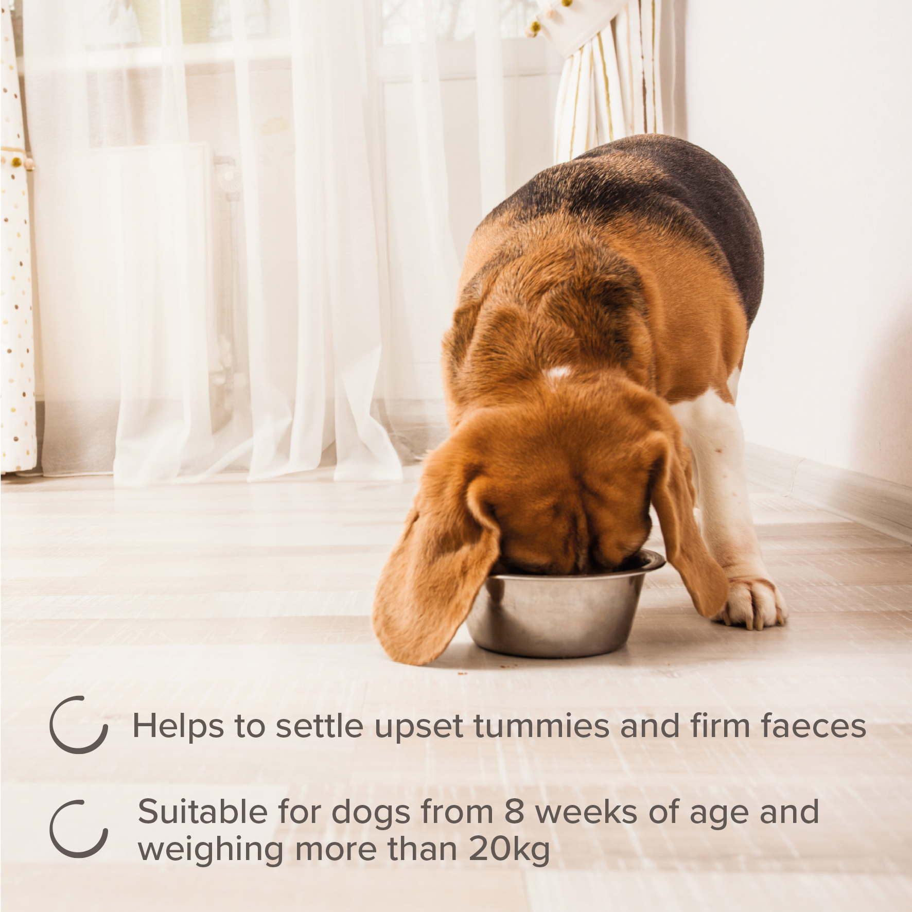 Beaphar IntestoPro Prebiotic Stool Firming Tablets for Medium & Large Dogs (over 20kg)