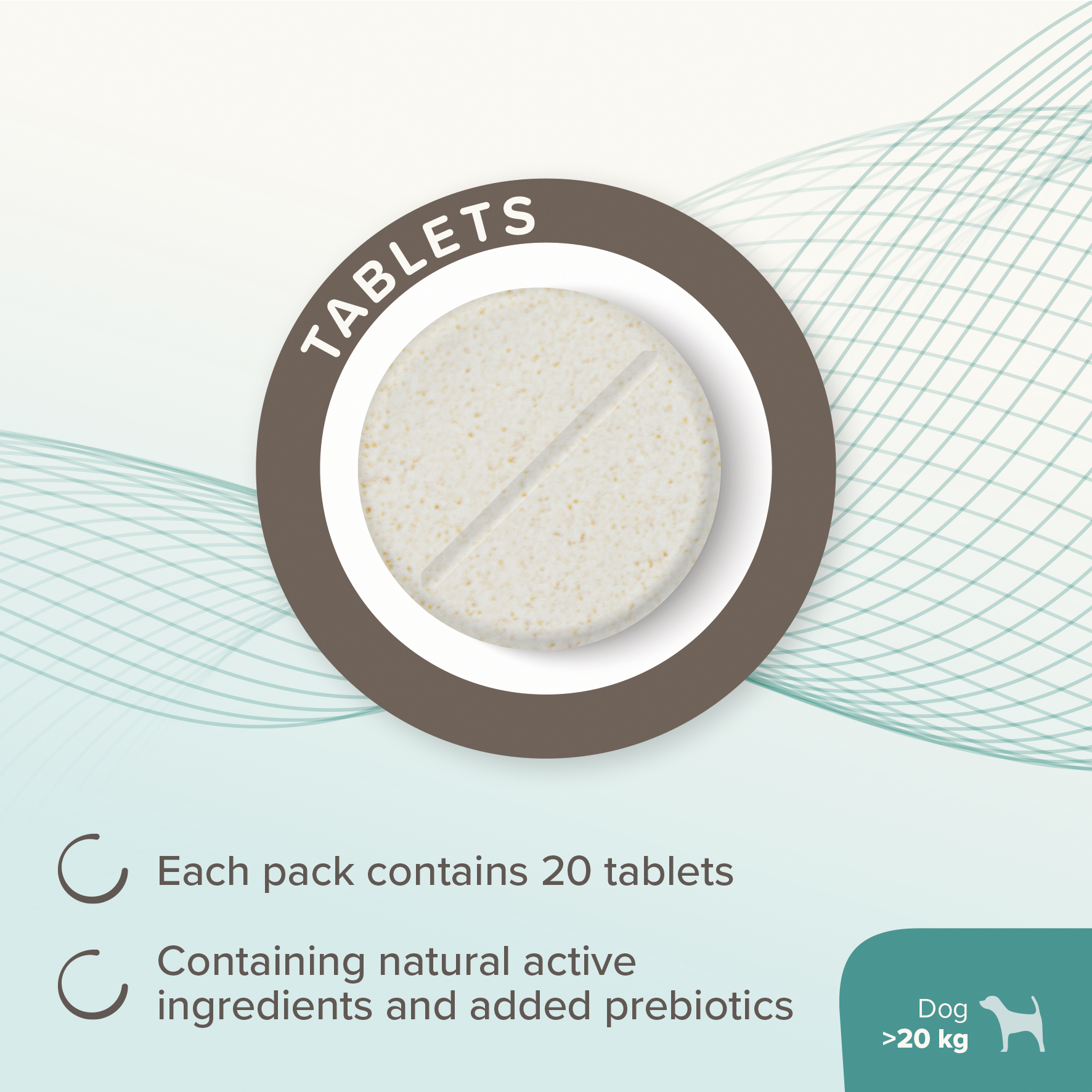 Beaphar IntestoPro Prebiotic Stool Firming Tablets for Medium & Large Dogs (over 20kg)