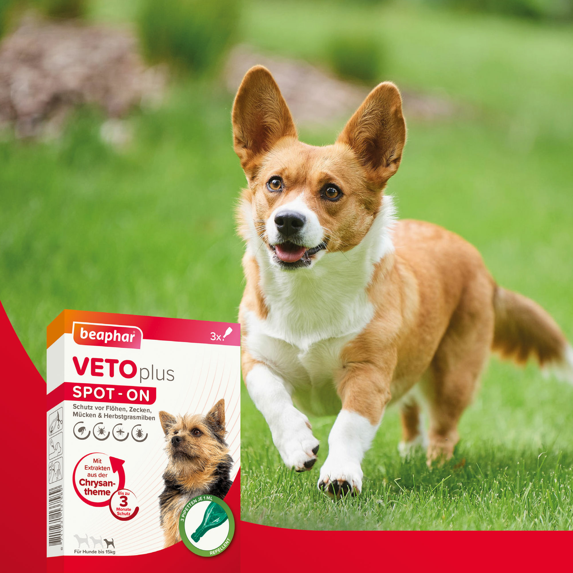 Beaphar VETOplus SPOT-ON für kleine Hunde (bis 15kg), 3x1ml