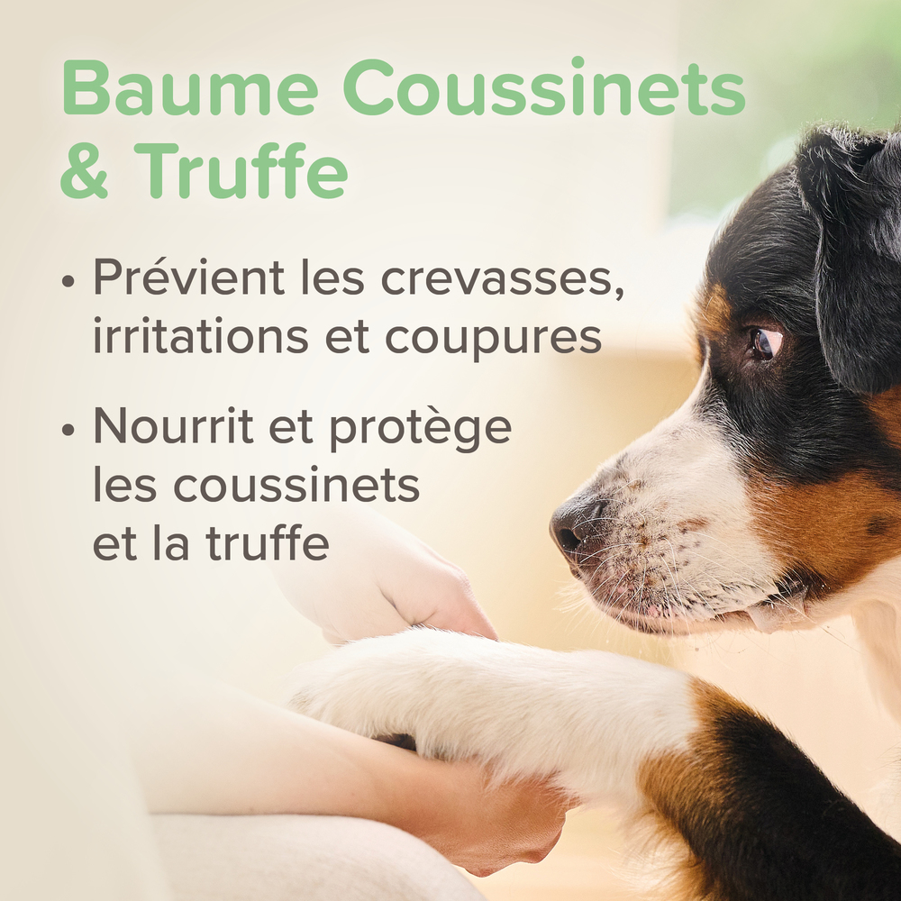 Baume Coussinets & Truffe pour Chien et Chat labellisé ECOCERT - 50 ml