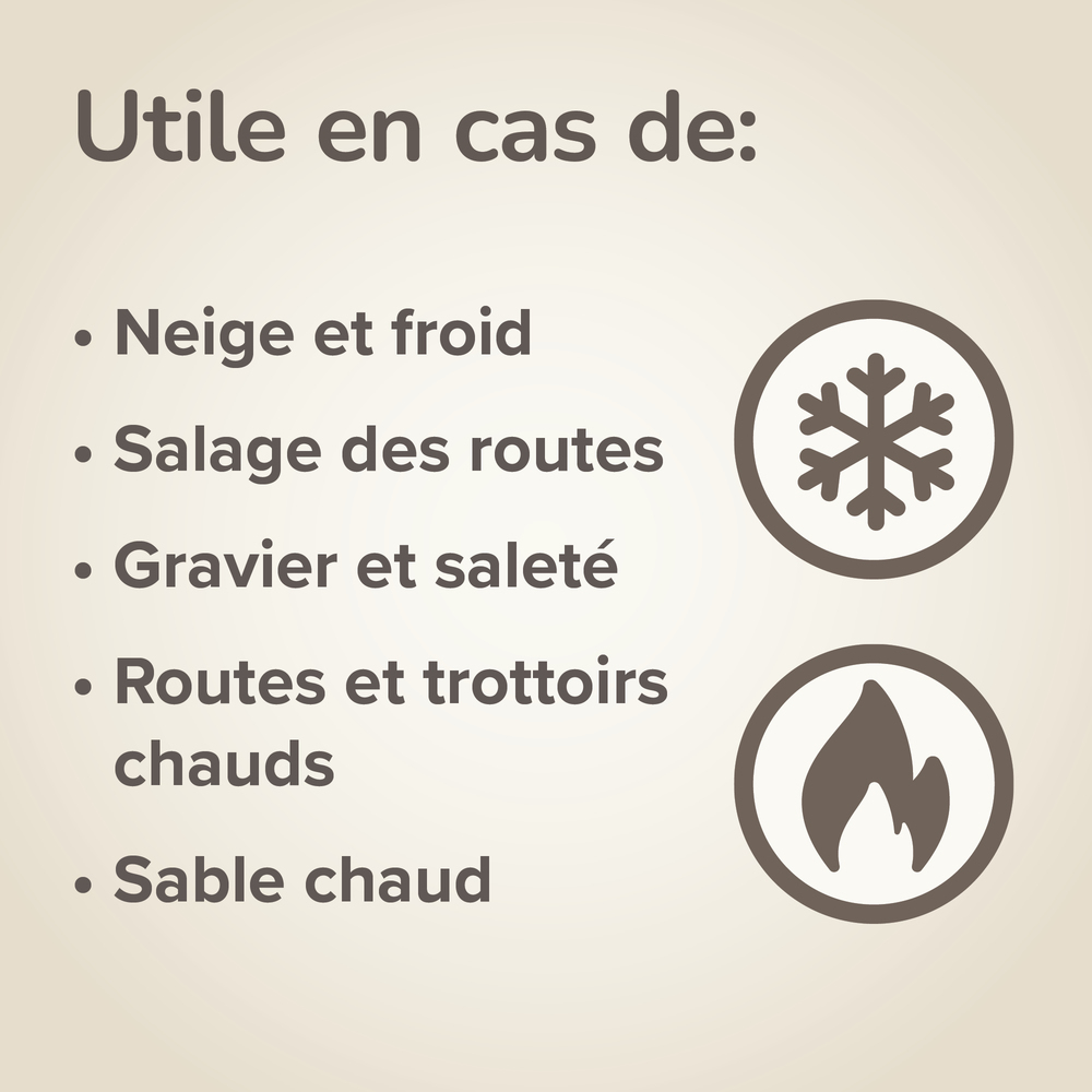 Baume Coussinets & Truffe pour Chien et Chat labellisé ECOCERT - 50 ml