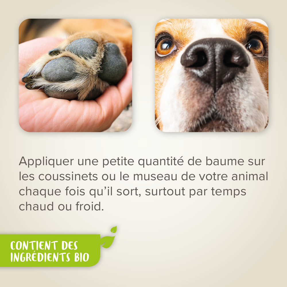Baume Coussinets & Truffe pour Chien et Chat labellisé ECOCERT - 50 ml