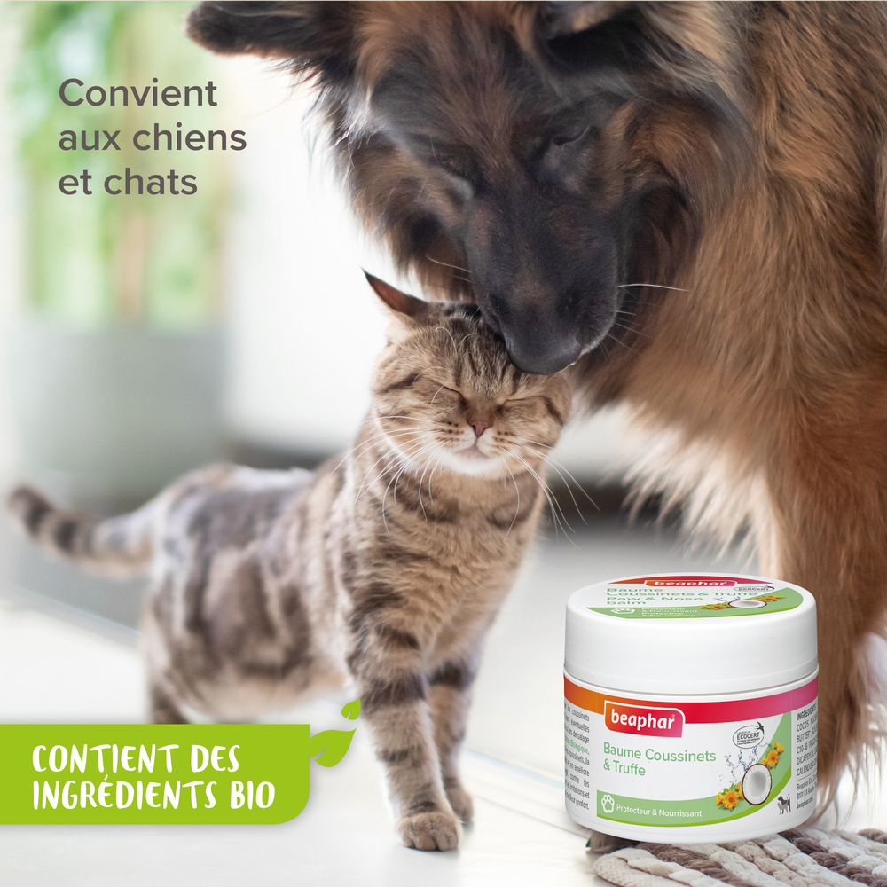 Baume Coussinets & Truffe pour Chien et Chat labellisé ECOCERT - 50 ml