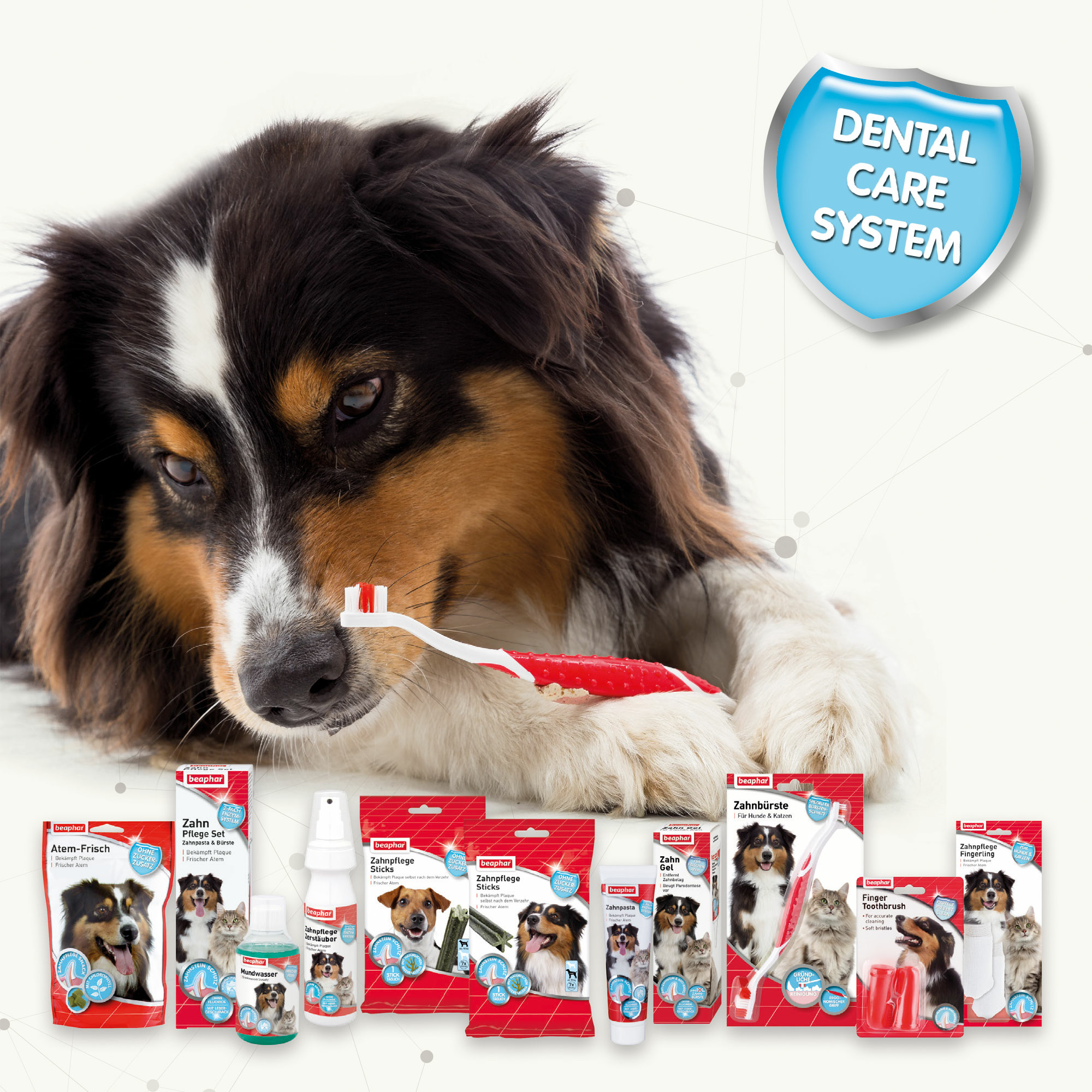 Zahnpflege Sticks für Hunde bis 10kg