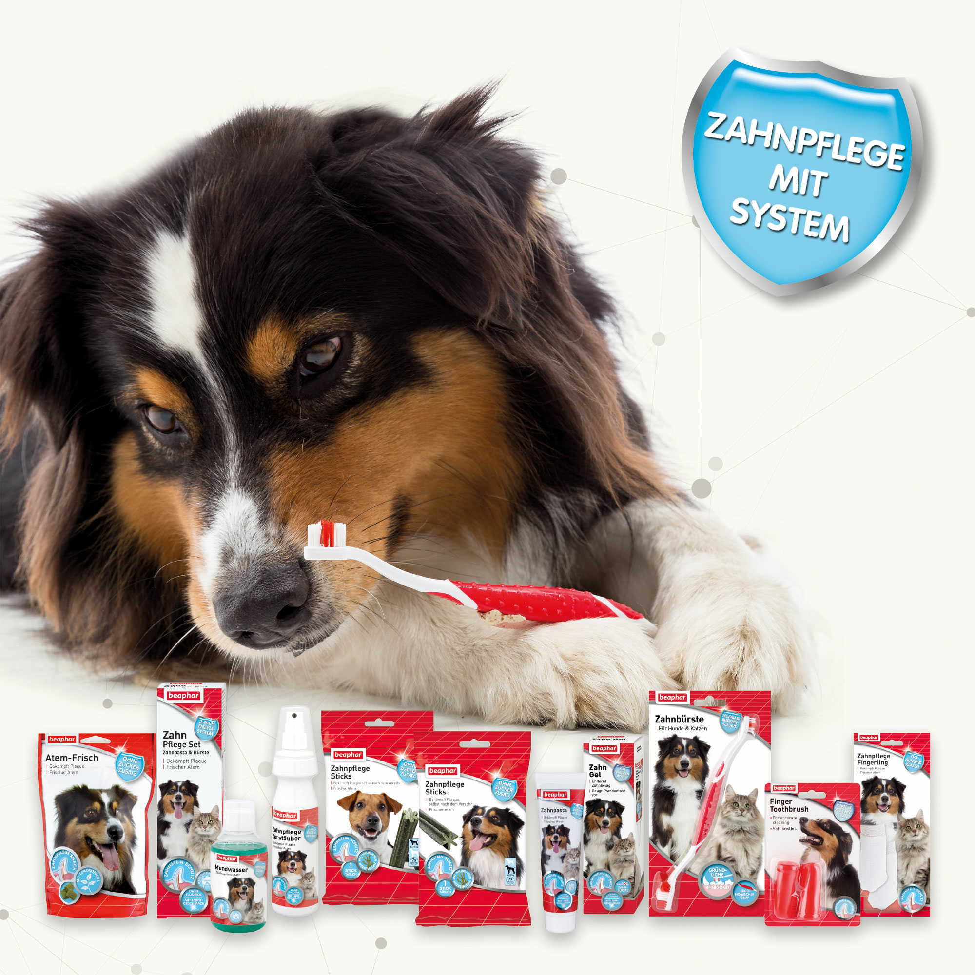 Zahnpflege Sticks für Hunde ab 10kg