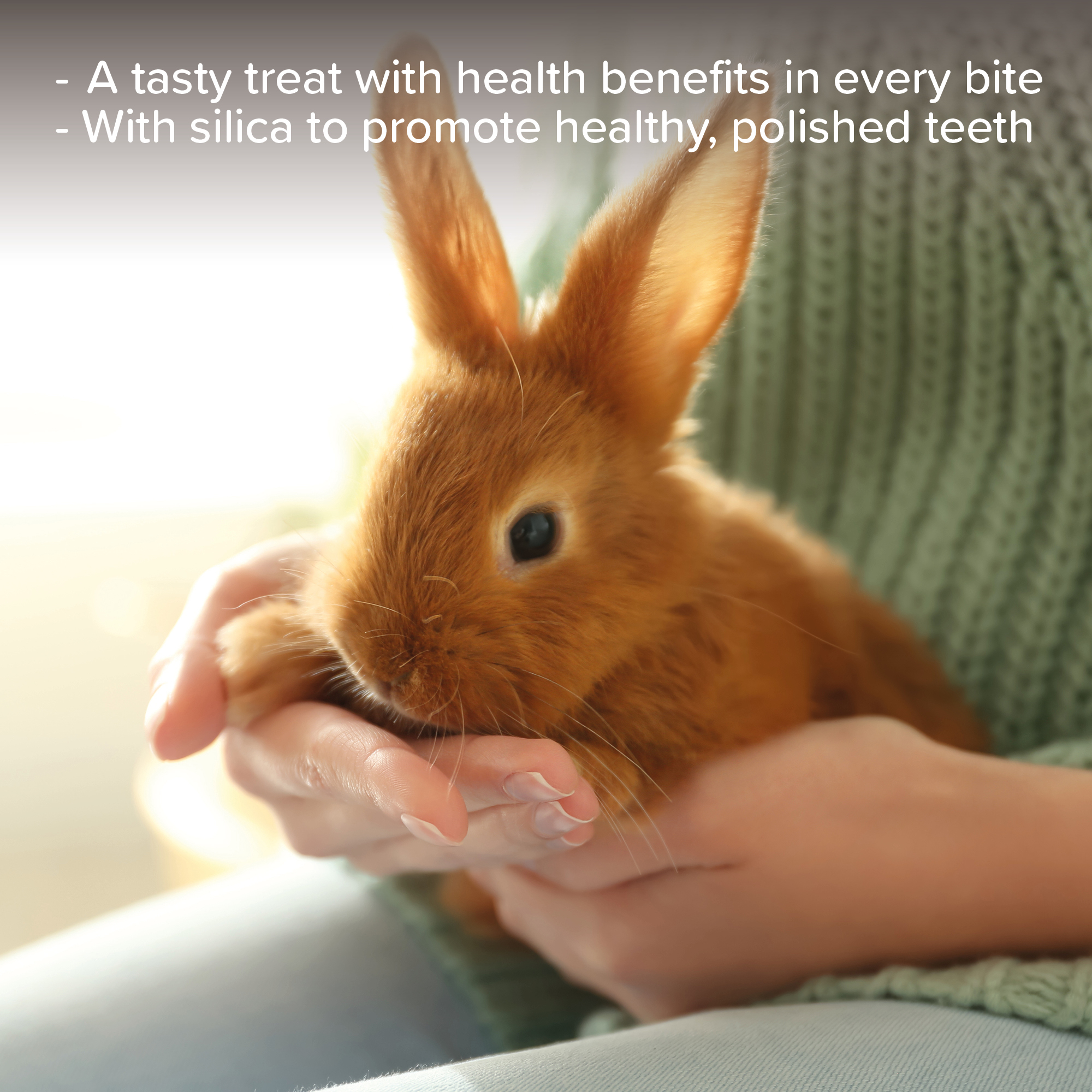 Beaphar Dental Crunch Sticks for Small Animals, 2 Sticks